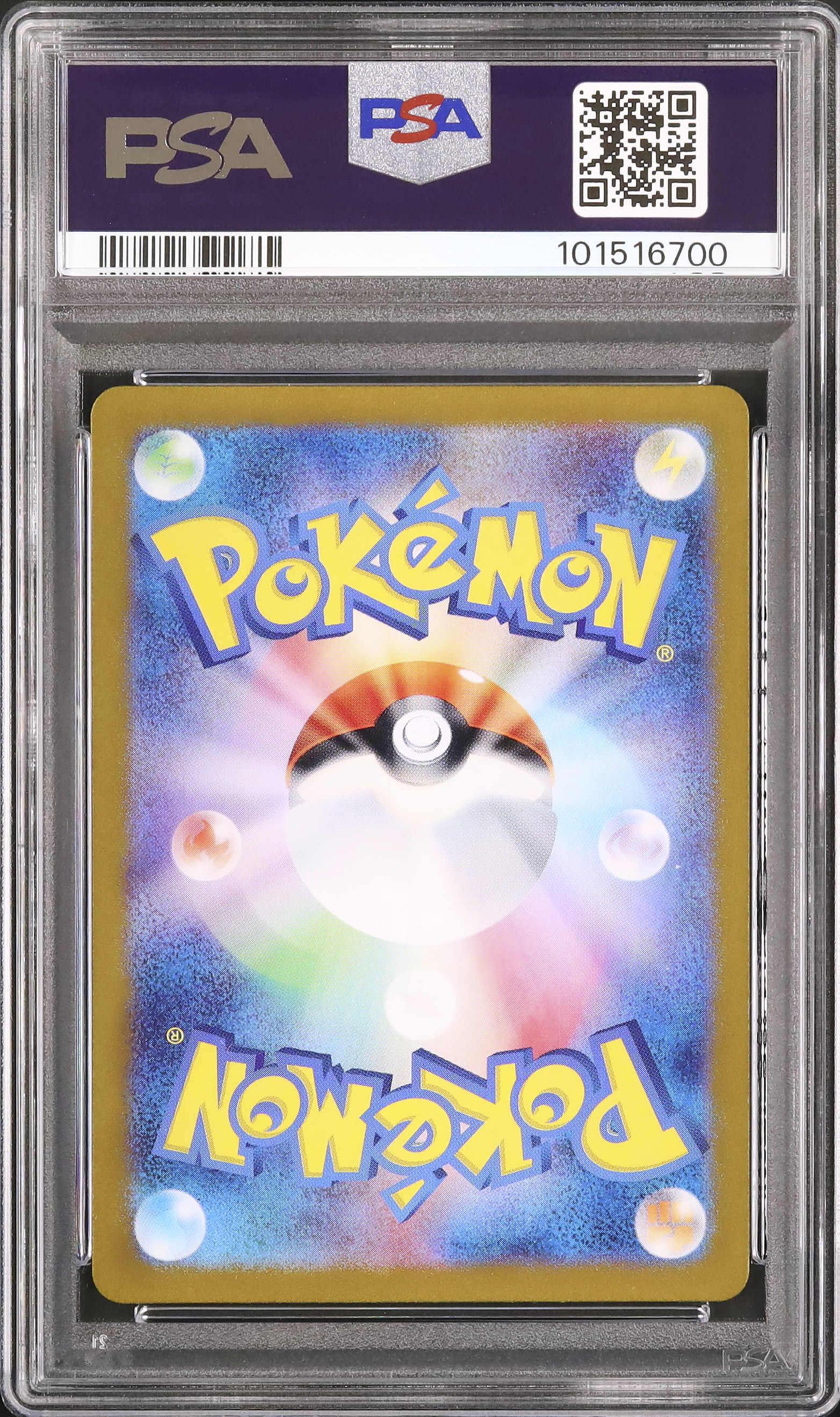 2024 Torkoal PSA 10 - Cardova Japan