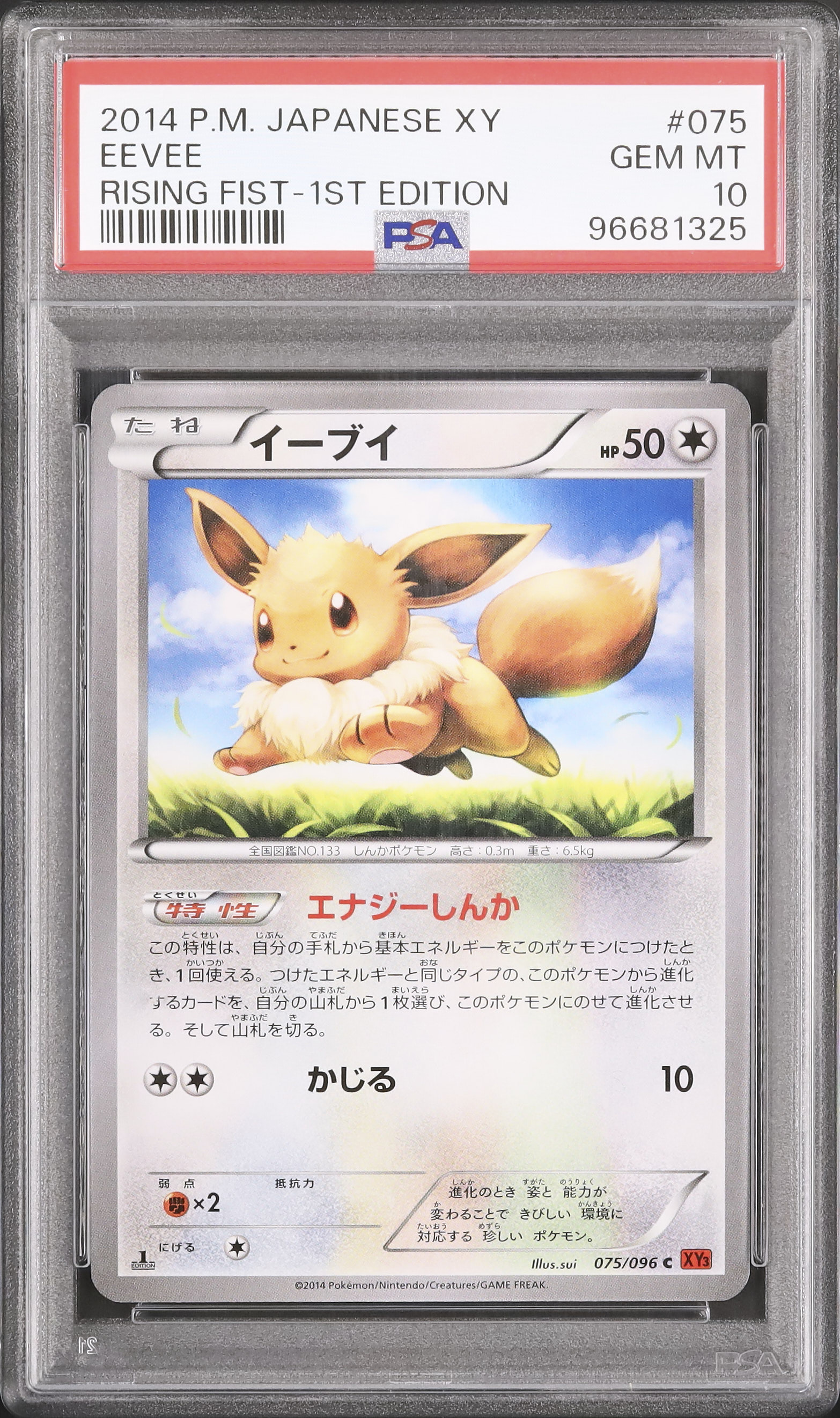 Eevee イーブイ　海外版　英語版　1st EDITION 5枚セット 640px-EeveeEvolvingSkies125.jpg