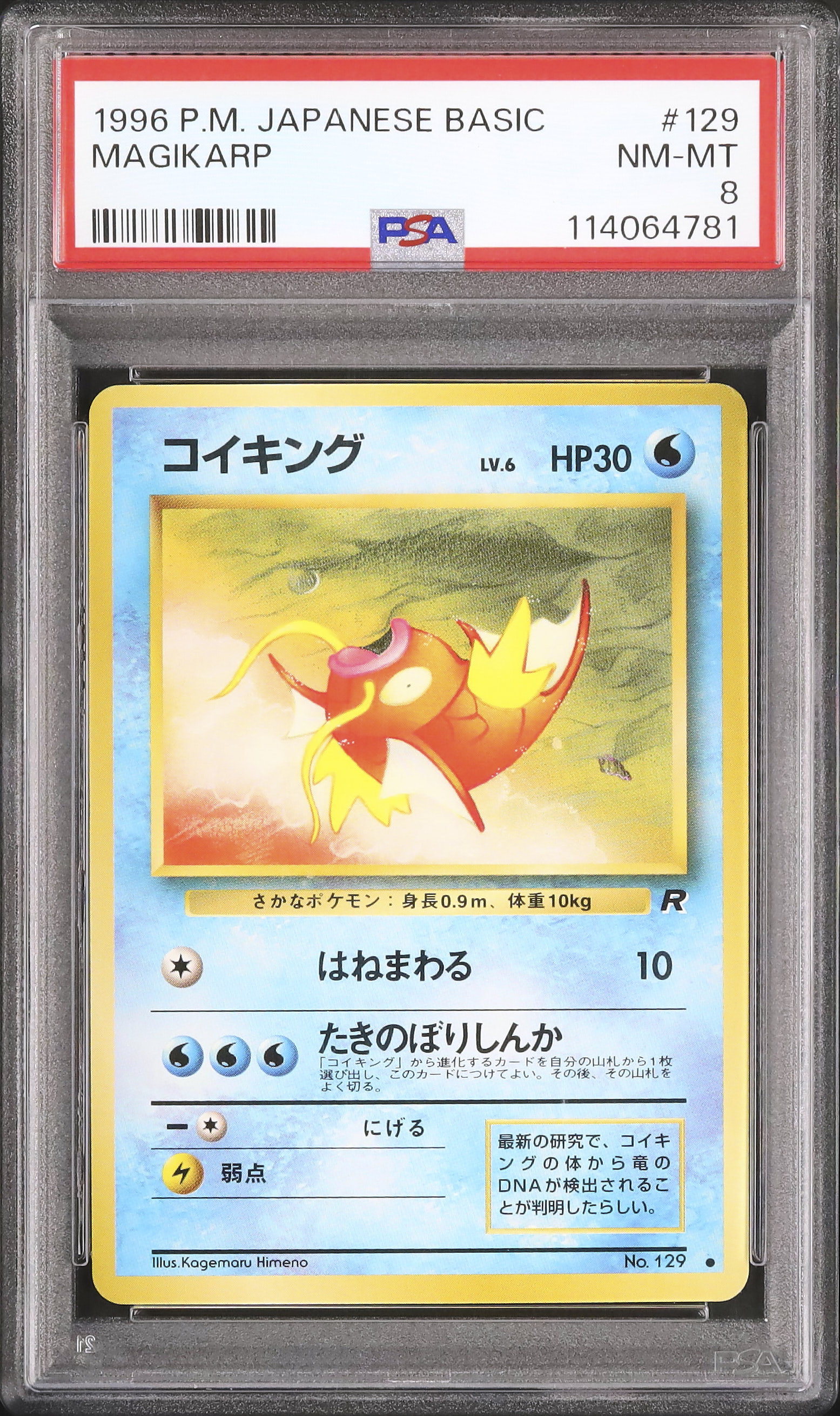 1997 Magikarp PSA 8 - Cardova Japan