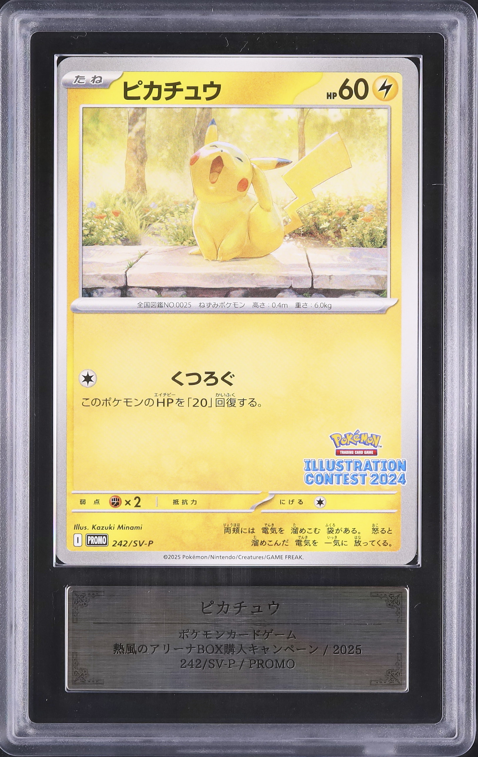 2025 ポケモンカード ピカチュウ #242 【公式通販】