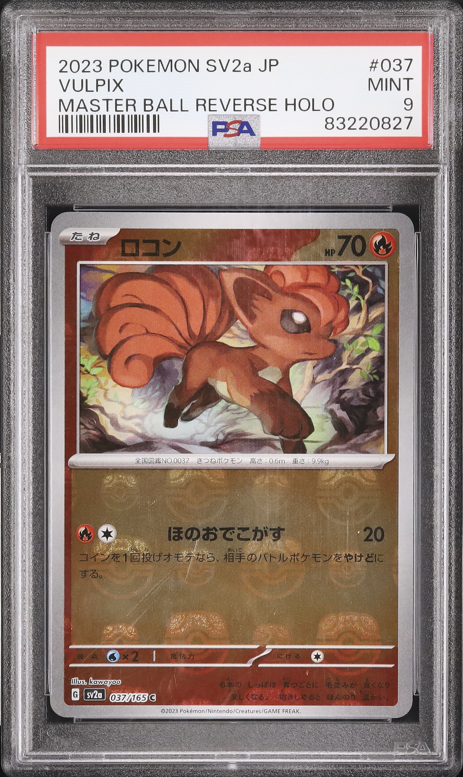 2023 ロコン PSA 9 マスターボール - カルドバ
