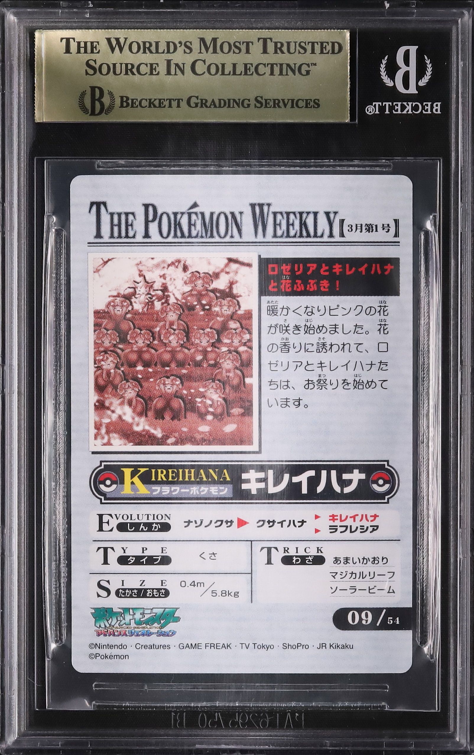 2004 キレイハナ/ロゼリア BGS 9.5 ホロ - カルドバ