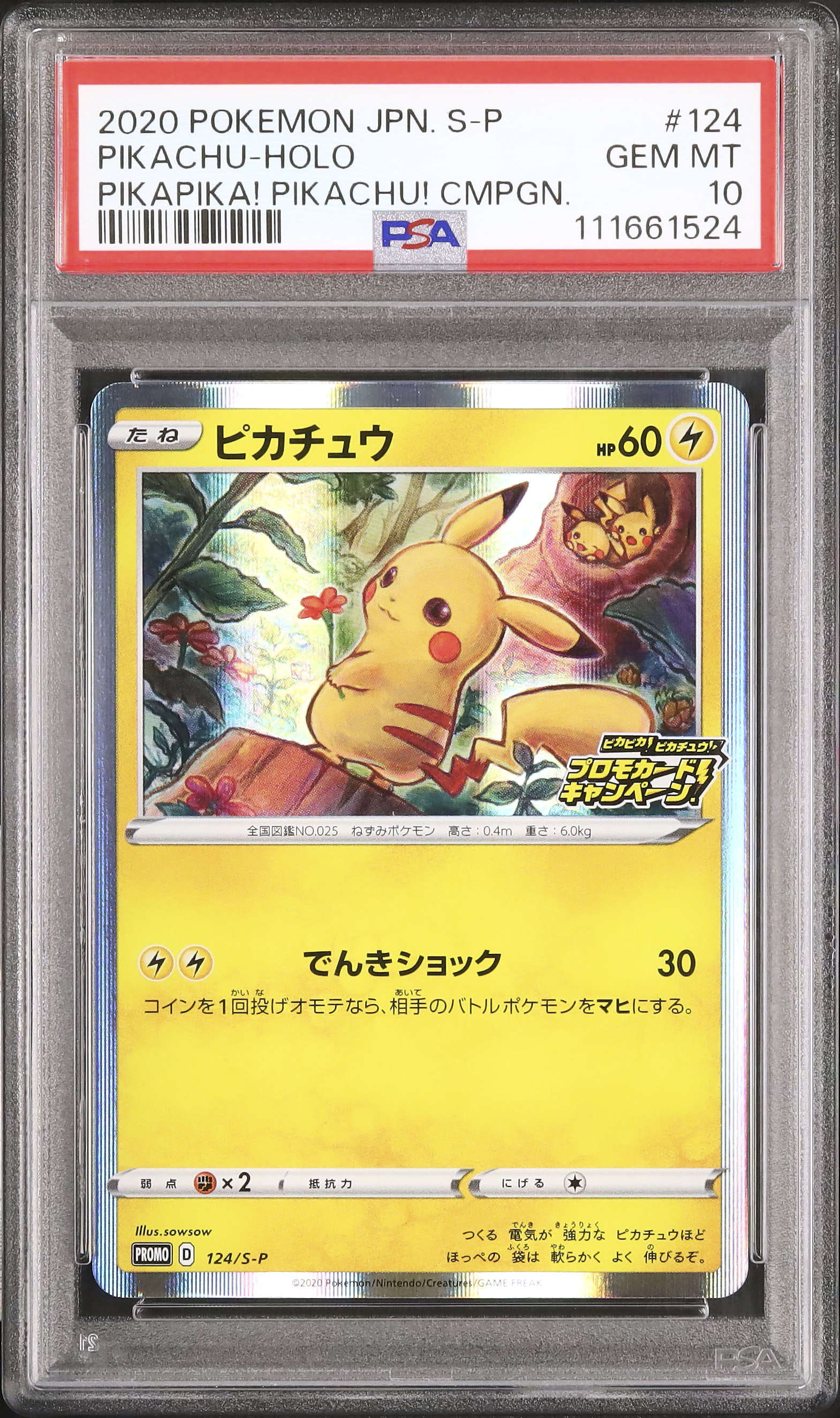 2020 ピカチュウ PSA 10 ホロ