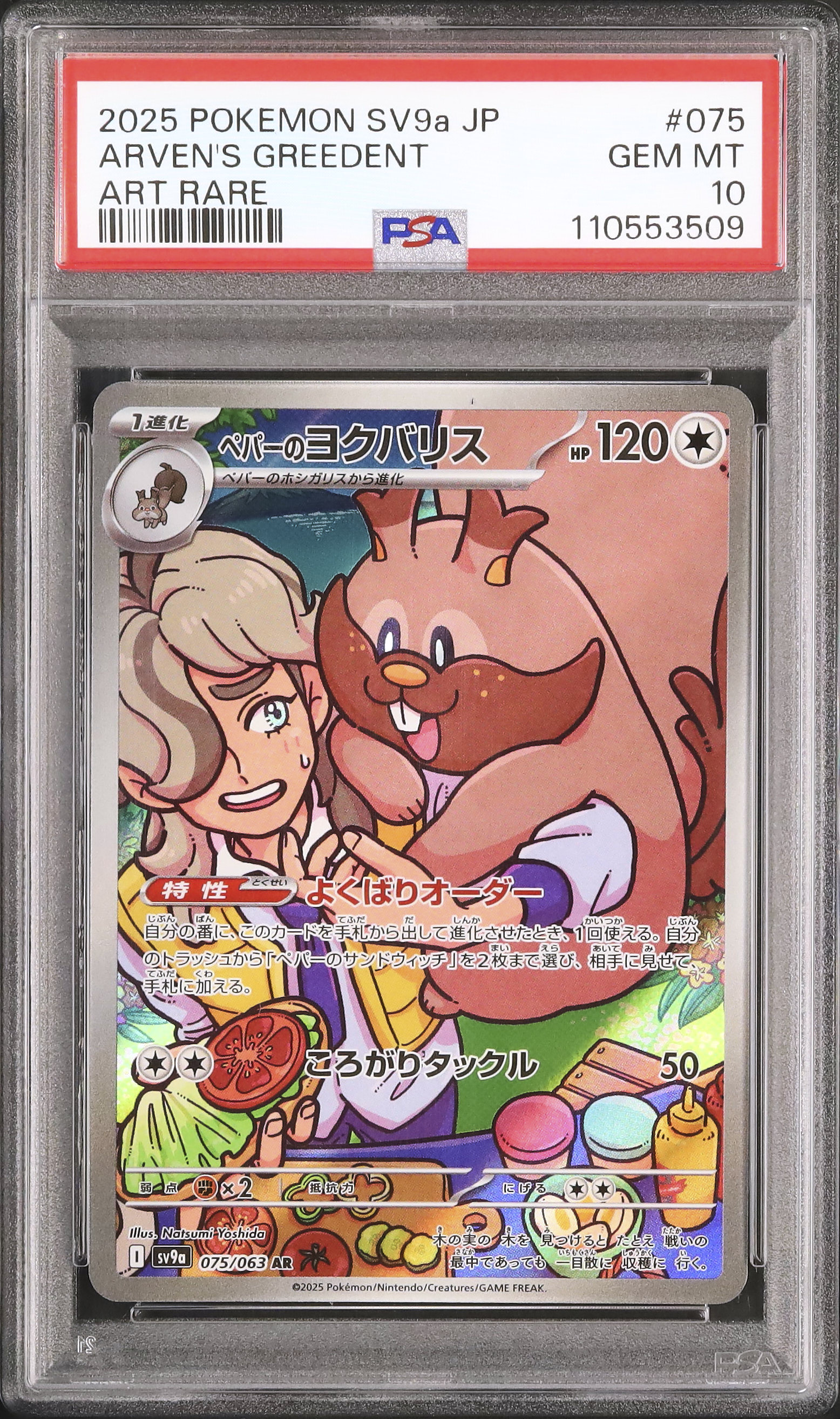 2025 Arven's Greedent PSA 10 - Cardova Japan