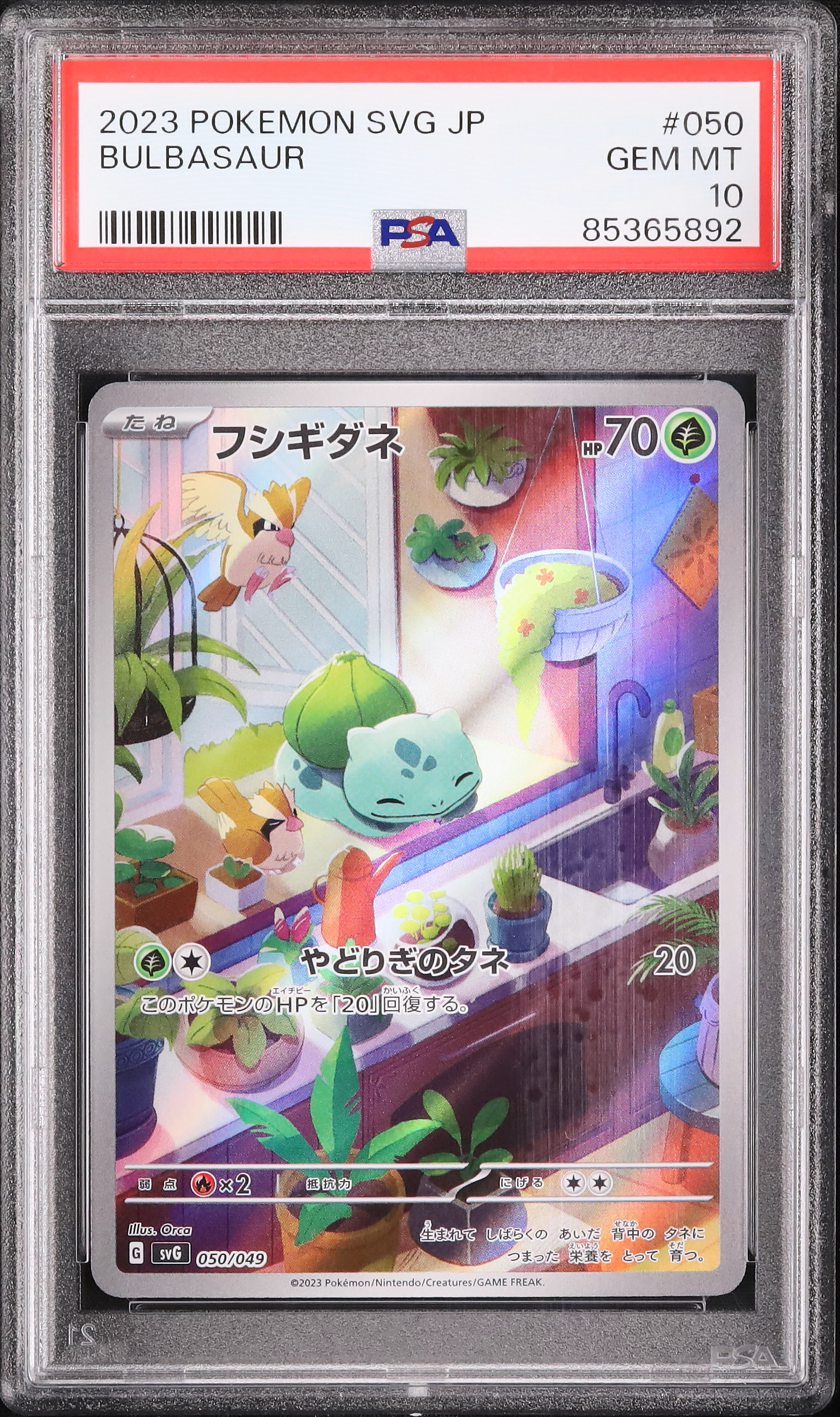 フシギダネ　ar psa10 PSA10鑑定済〕フシギダネ(AR仕様)【-】{050/049}
