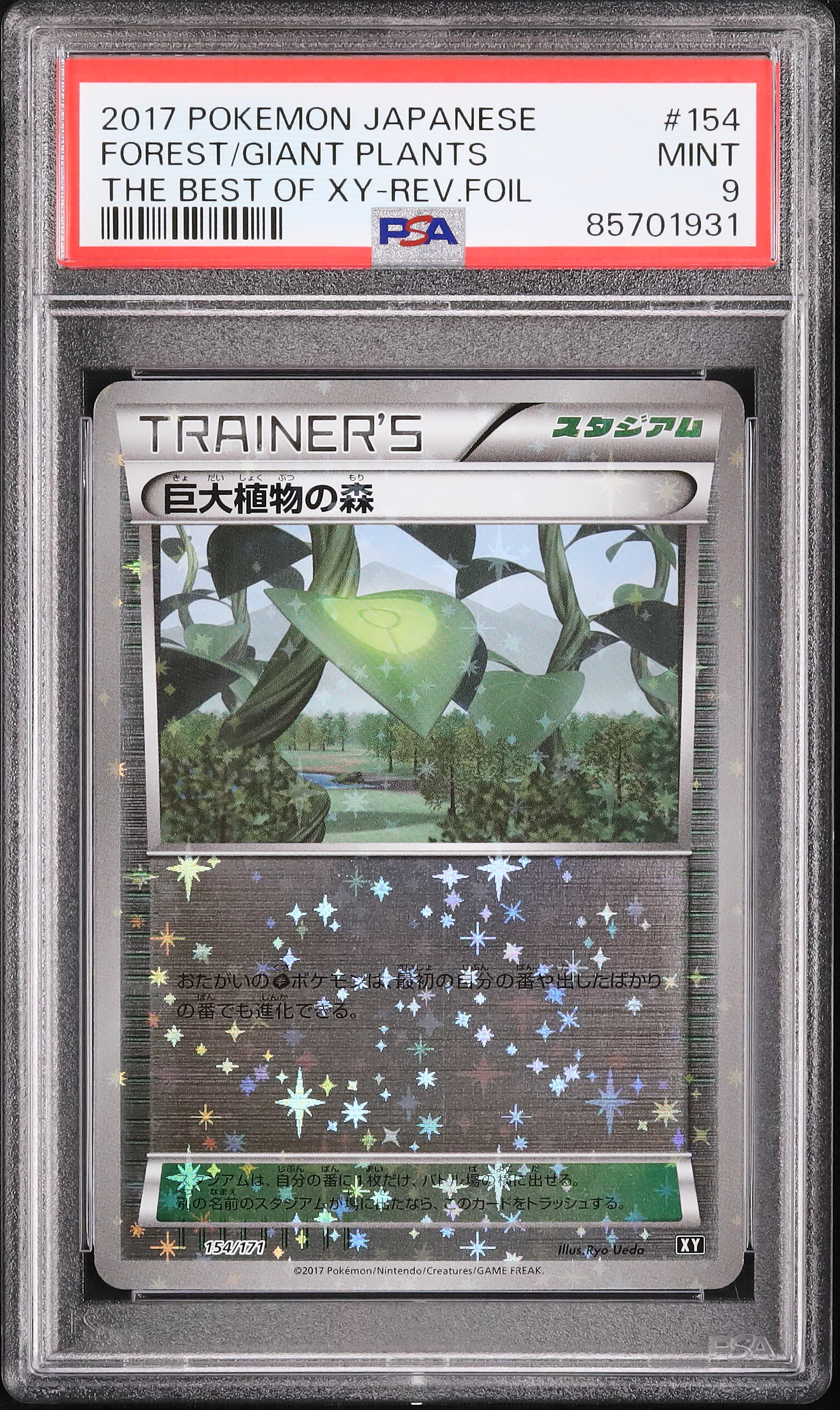 ハナダ！さいごのどうくつ　PSA9 ハナダ！さいごのどうくつ PSA9 ピカブイ】ハナダの洞窟のマップ