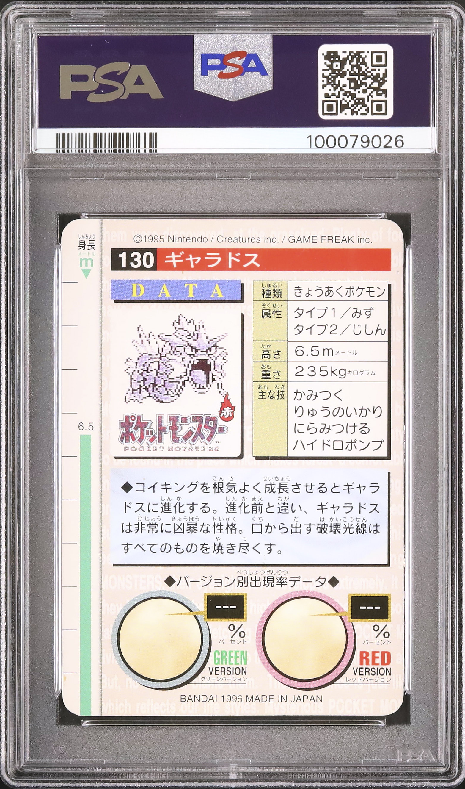 1996 ギャラドス PSA 8 グリーン - カルドバ