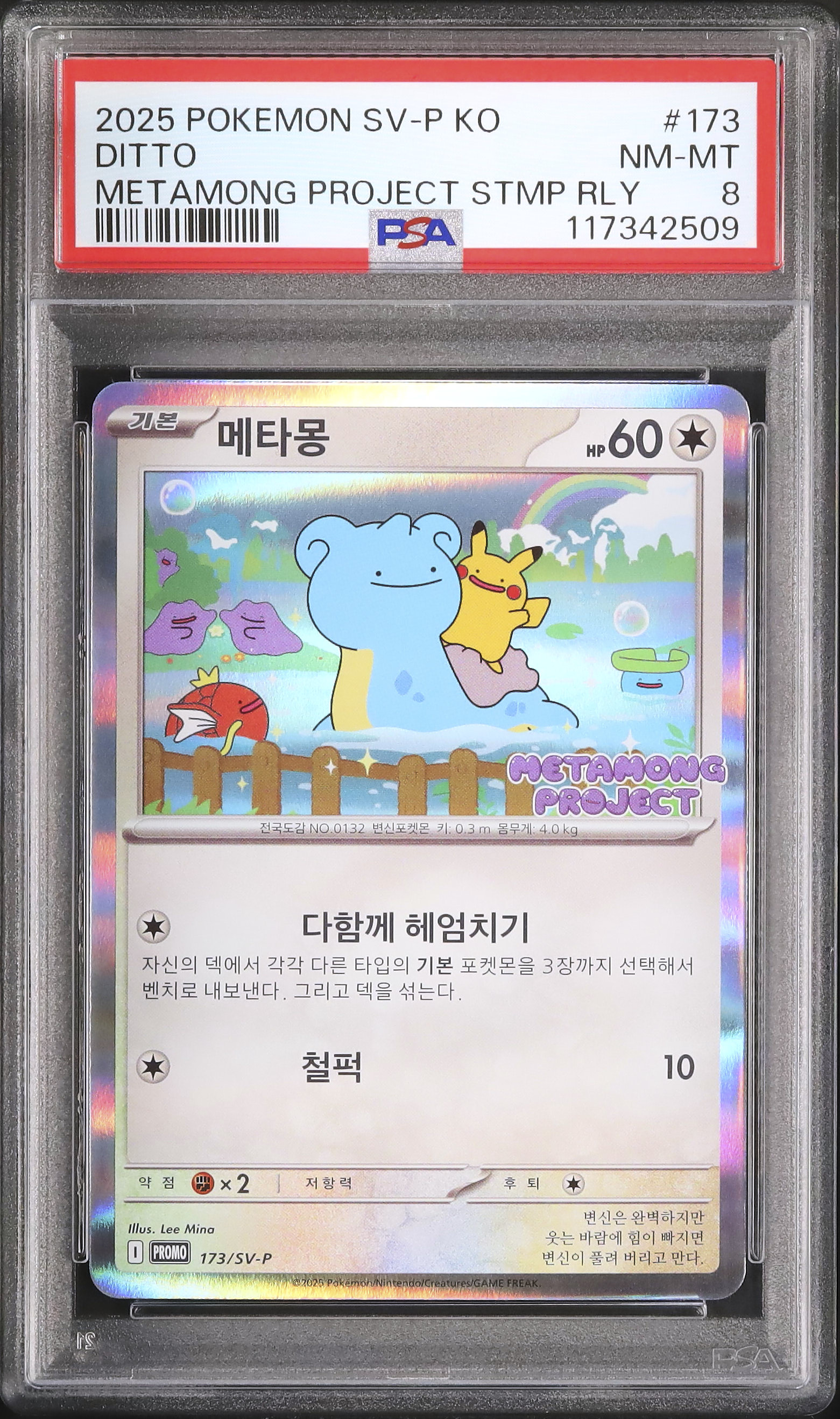 2025 メタモン 韓国 PSA8 Gmz1-H0aAAAUJvR.jpg