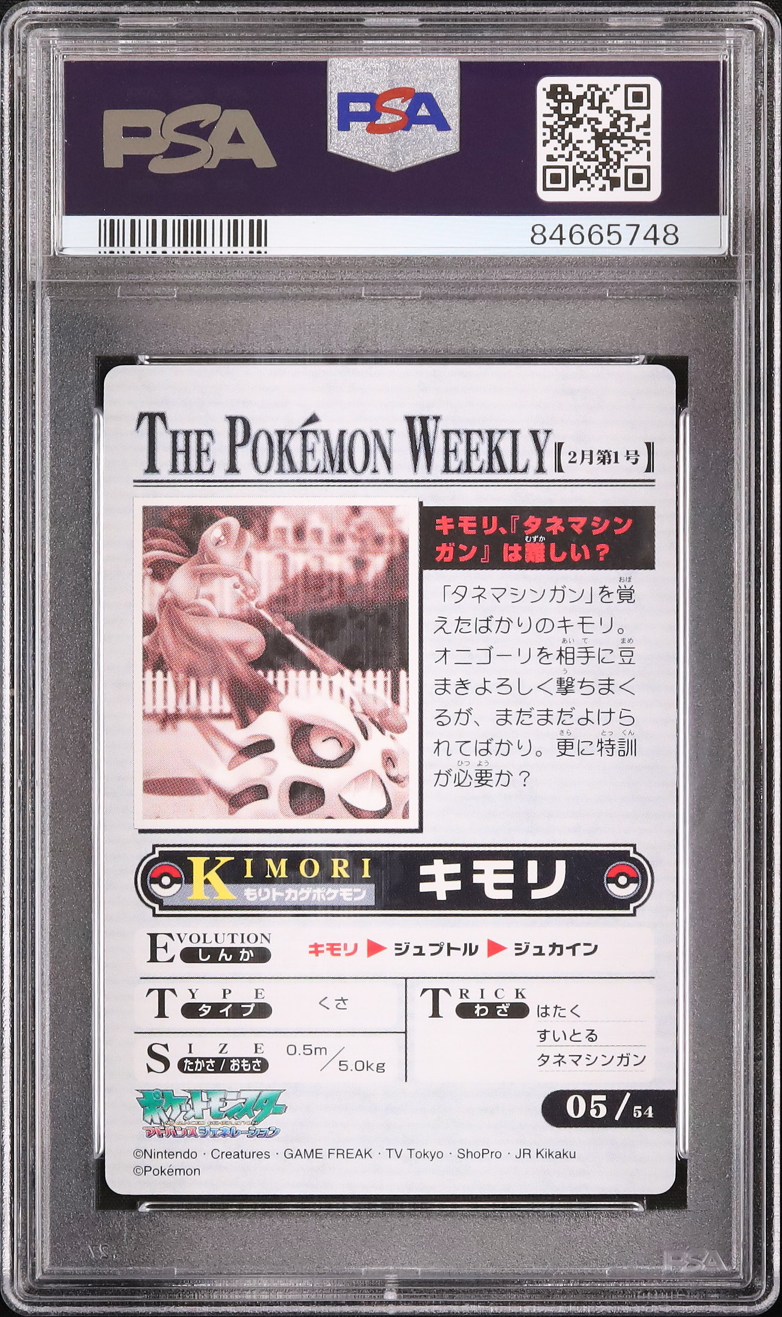 2005 キモリ/オニゴーリ PSA 10 - カルドバ