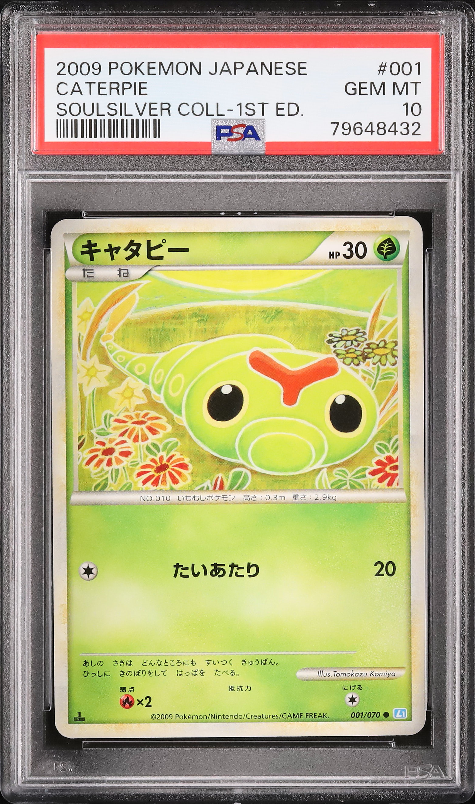 キャタピー カードe PSA10 ポケカ ポケモンカード 2009 キャタピー PSA 10 1st エディション - カルドバ