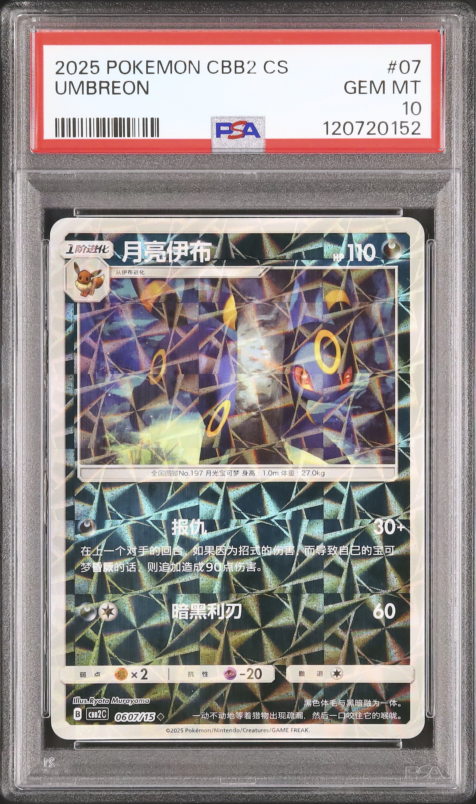 2023 ポケモンカード ブラッキー #067 GEM MT 2023 ポケモンカード ブラッキー #067 GEM MT 2023 ポケモン