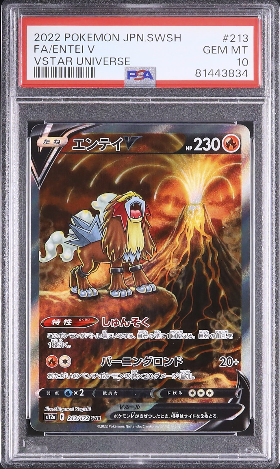 エンテイ　スター　アンリミテッド 2022 エンテイV PSA 10 フルアート - カルドバ