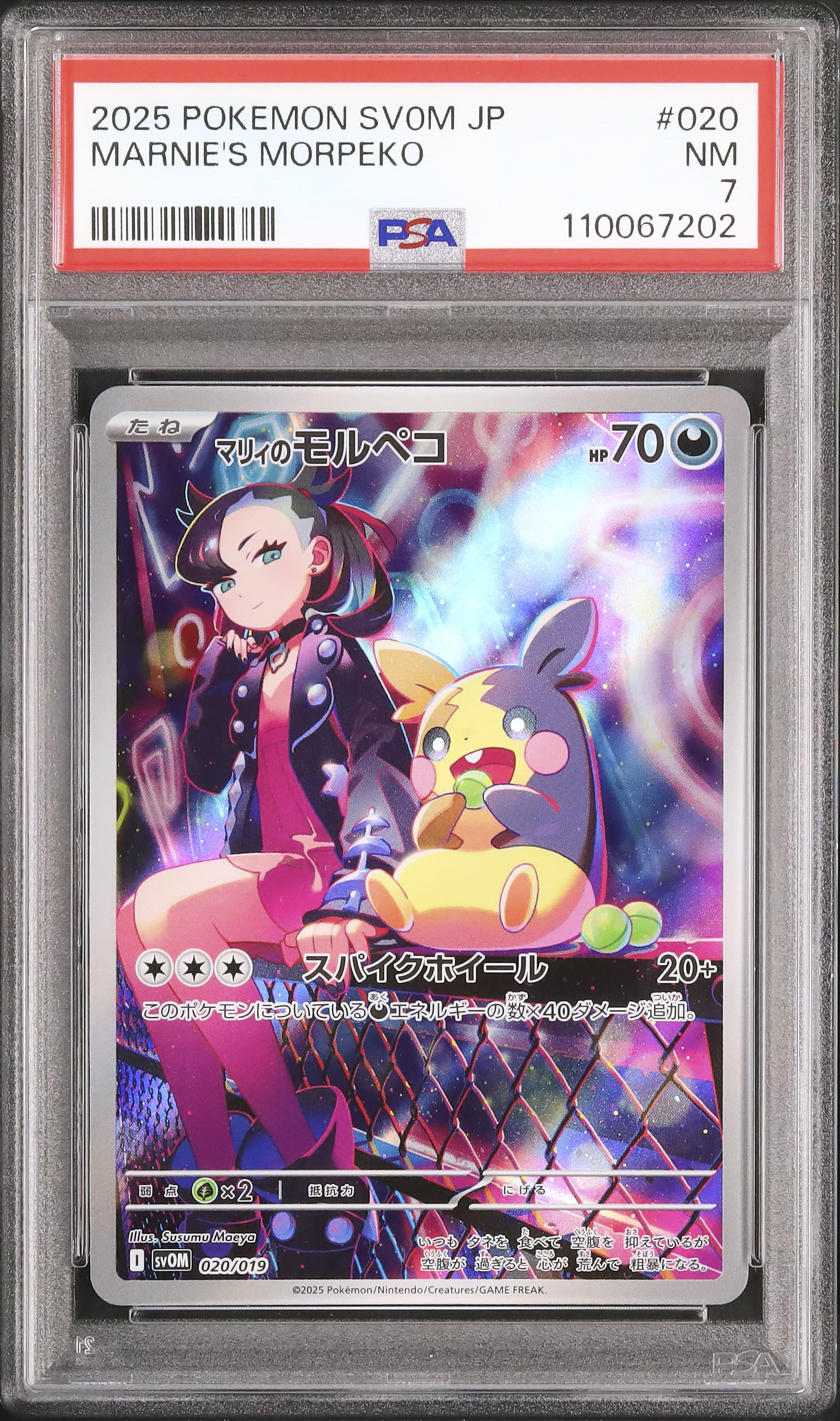 マリィのモルペコ Amazon.co.jp: ポケモンカードゲーム スカーレット