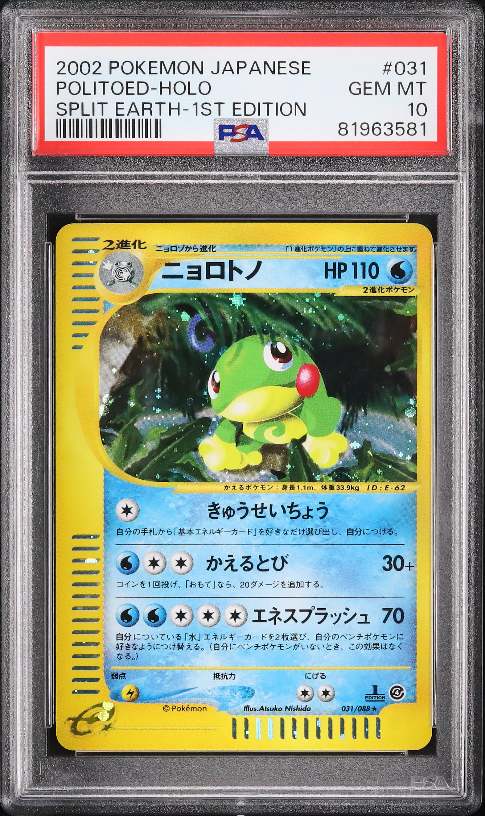 ニョロトノ ぬいぐるみ 旧裏 ニョロトノ PSA10 ニョロトノ 入手方法