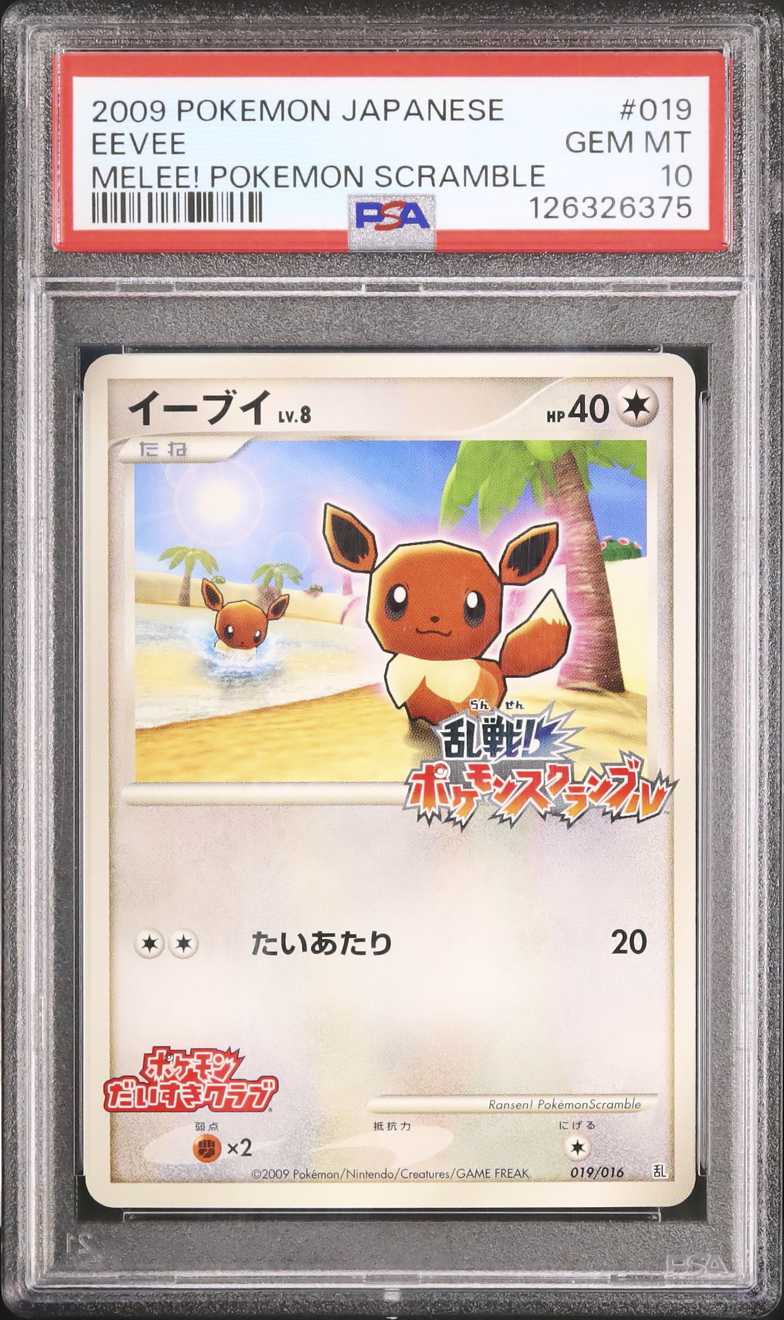 2009 イーブイ PSA 10 - カルドバ