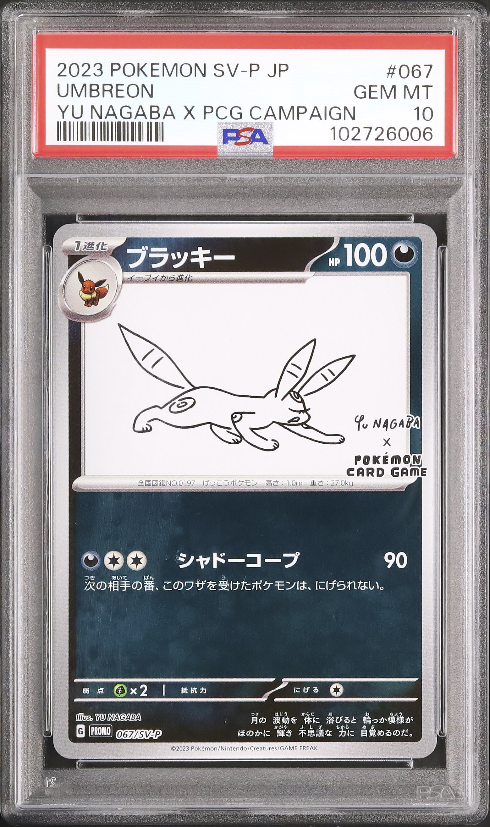 2023 ブラッキー PSA 10 - カルドバ