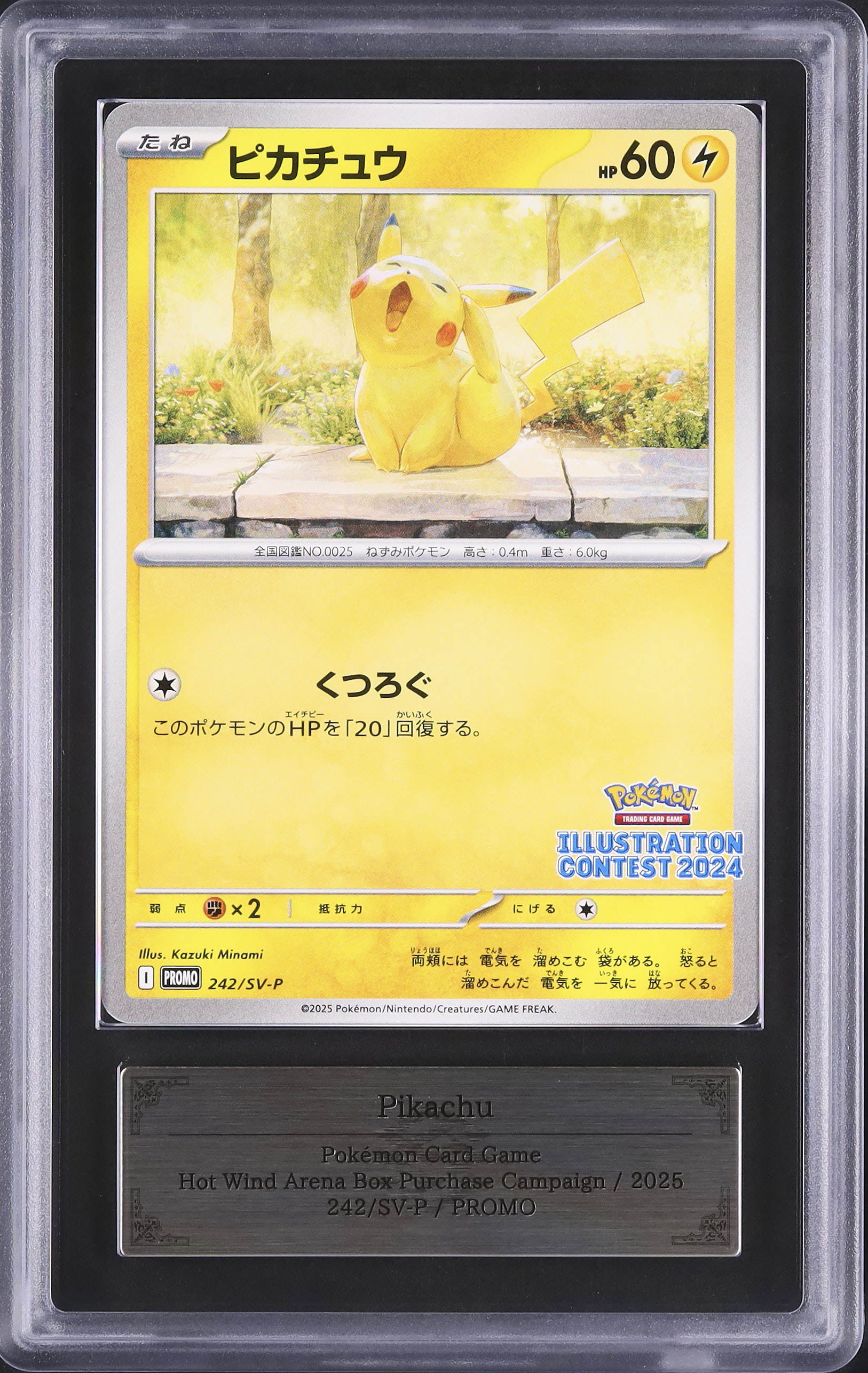 PSA10 ピカチュウ イラストレーションコンテスト2024 242⁄SV-P SV-P