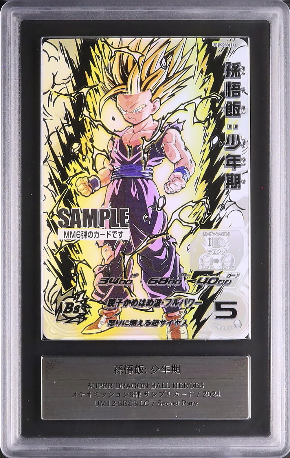 2024 孫悟飯: 少年期 ARS - - カルドバ