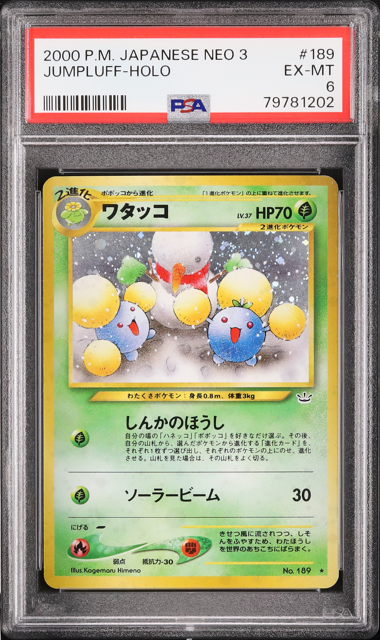 2000 ワタッコ PSA 6 ホロ - カルドバ