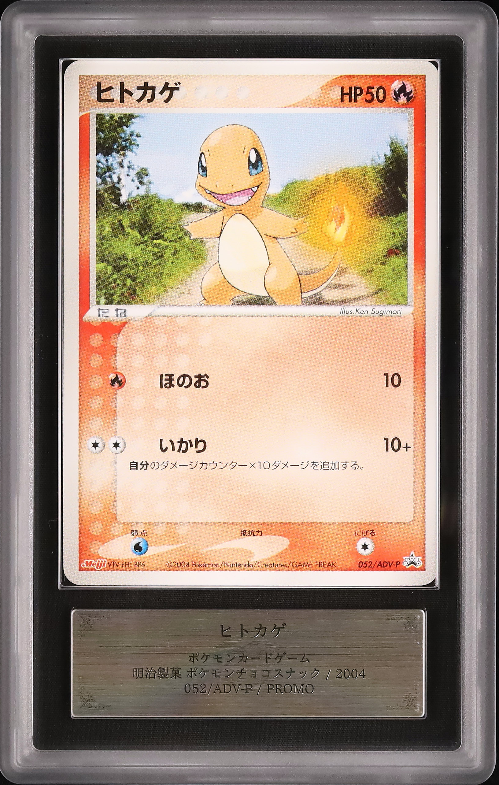 2004 ヒトカゲ ARS 9 - カルドバ