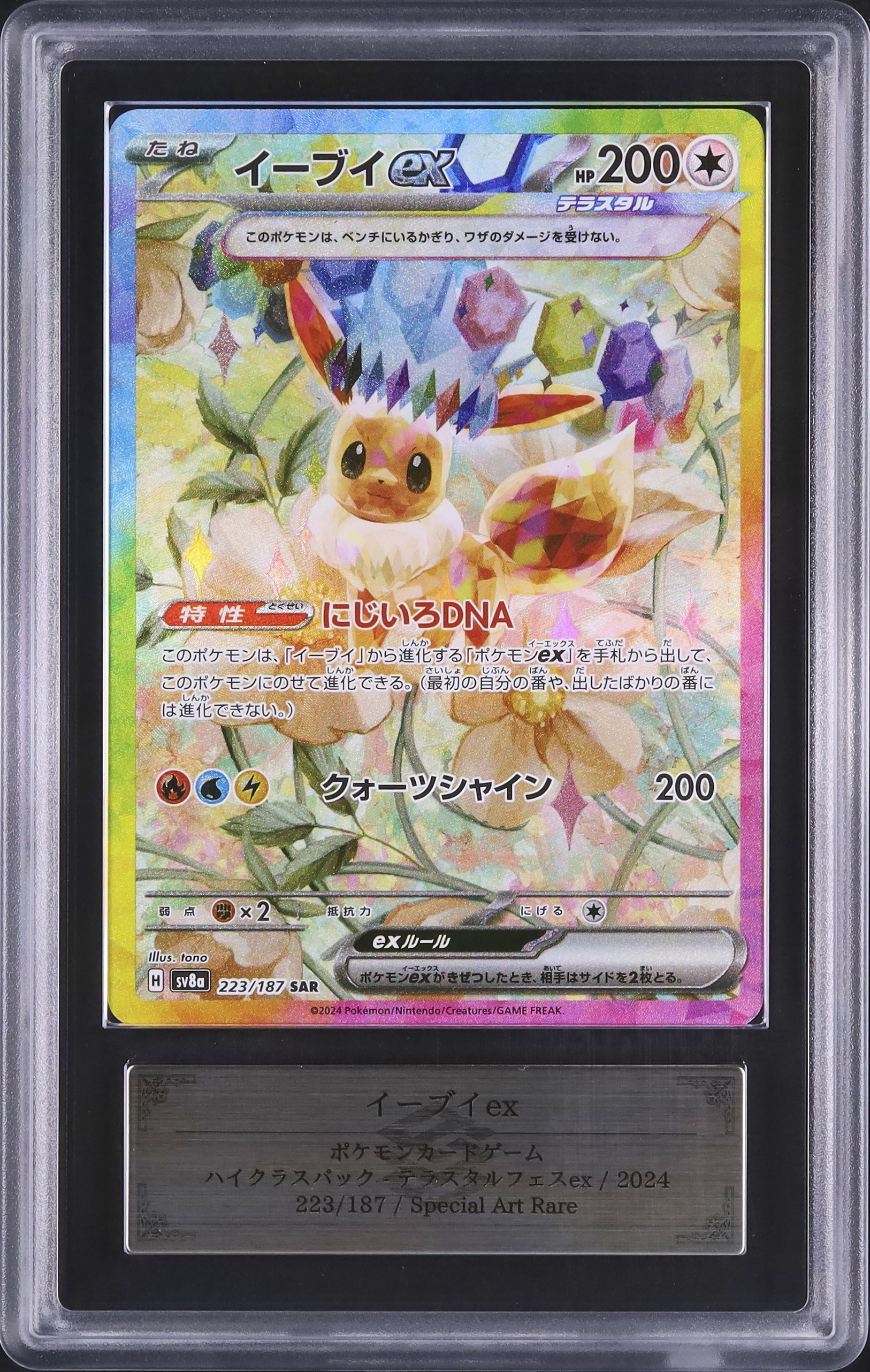 2024 Eevee ex ARS 10 - Cardova Japan