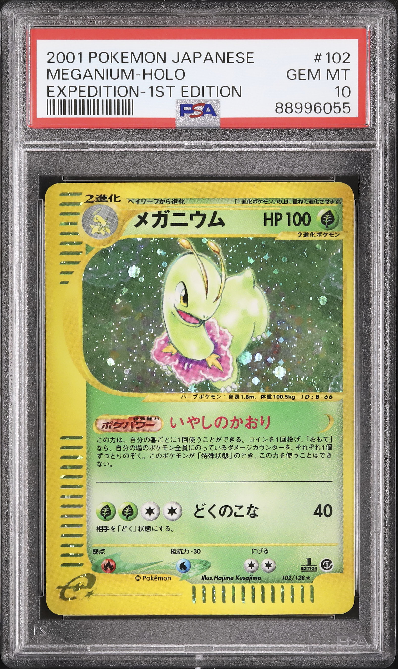 2001 メガニウム PSA 10 1st エディション - カルドバ