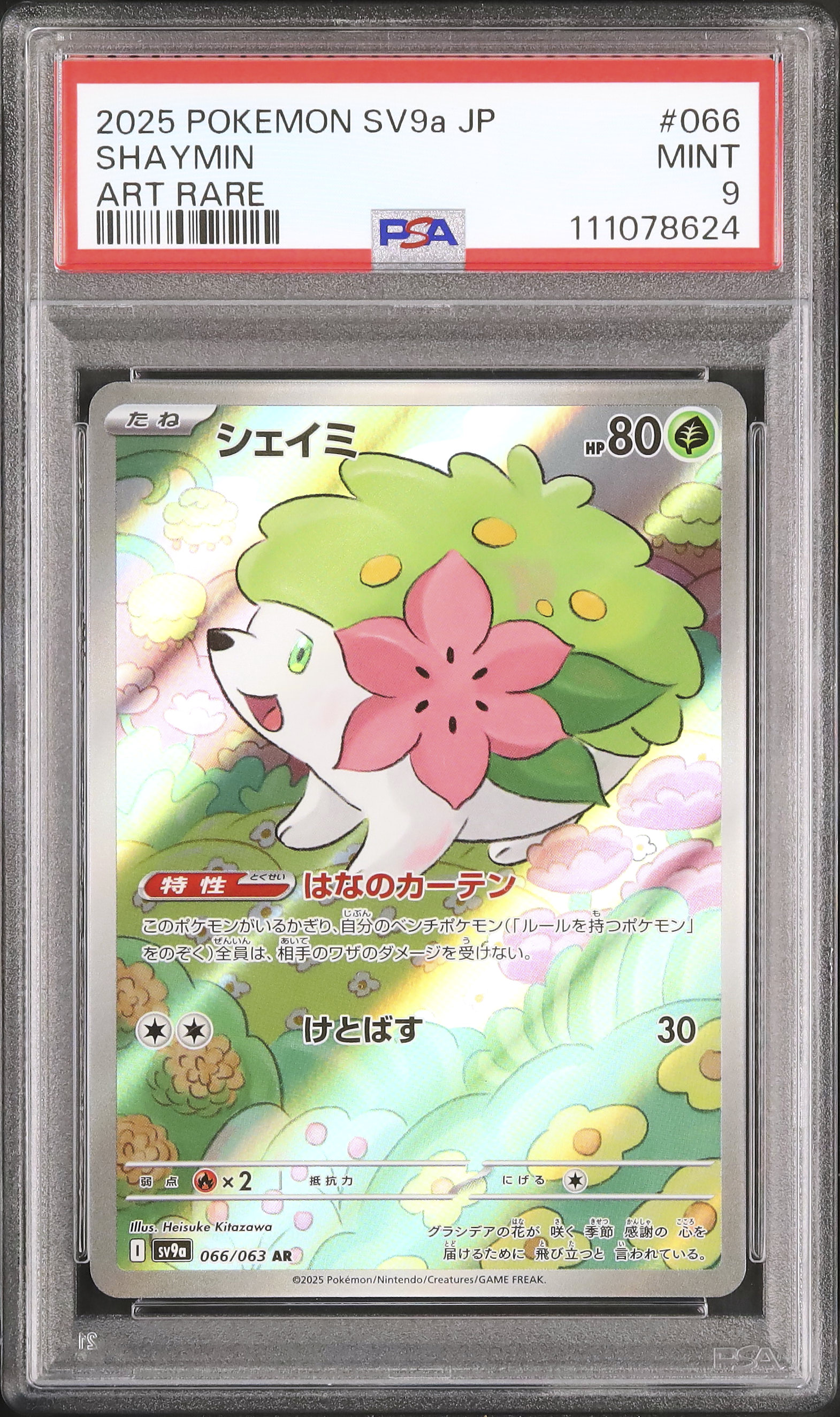 2025 シェイミ PSA 9 - カルドバ