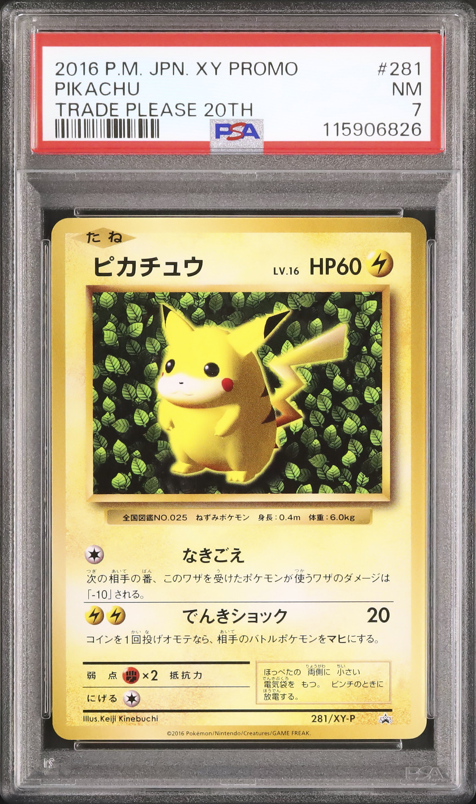 2016 ピカチュウ PSA 7 - カルドバ