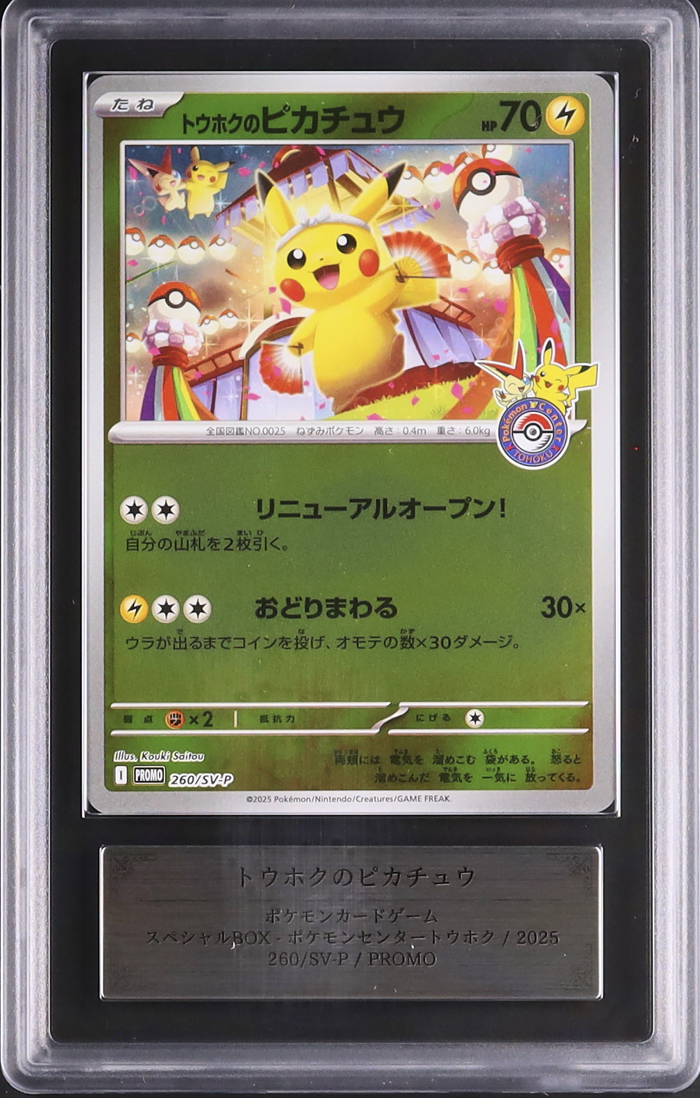 2025 トウホクのピカチュウ ARS 9 - カルドバ