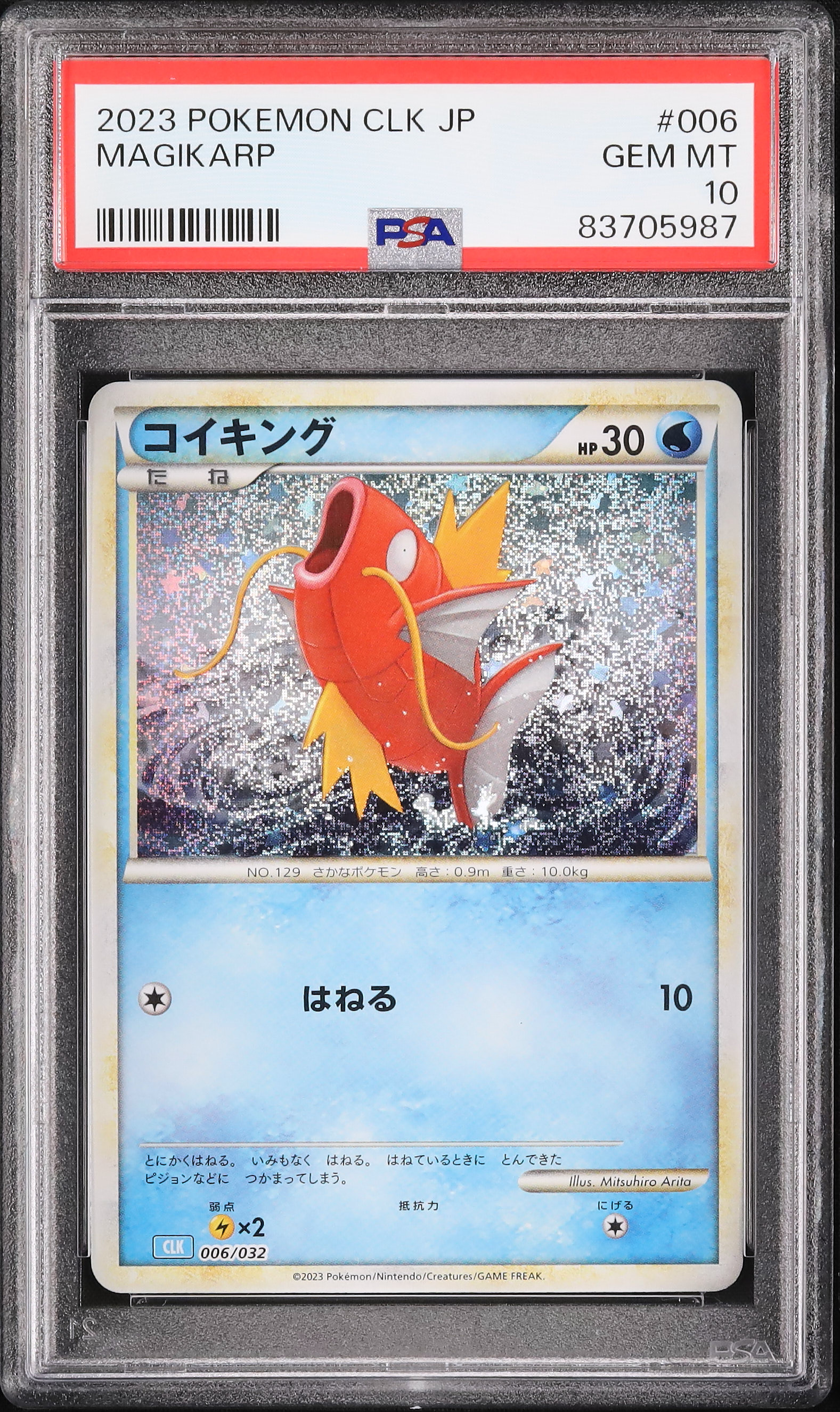 2023 コイキング PSA 10 - カルドバ
