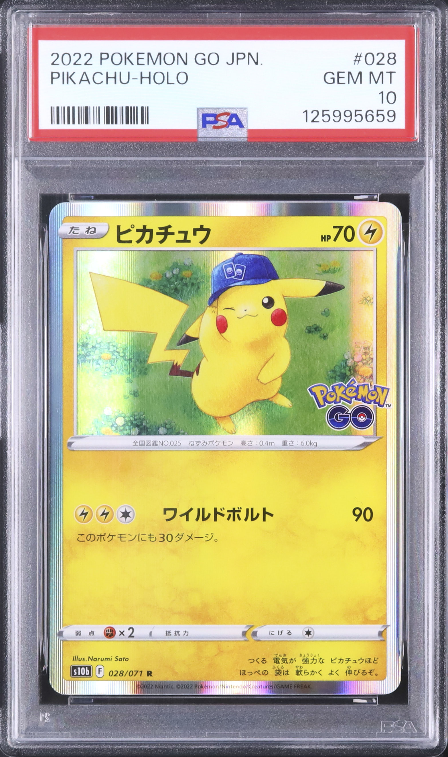 2022 ピカチュウ PSA 10 ホロ - カルドバ