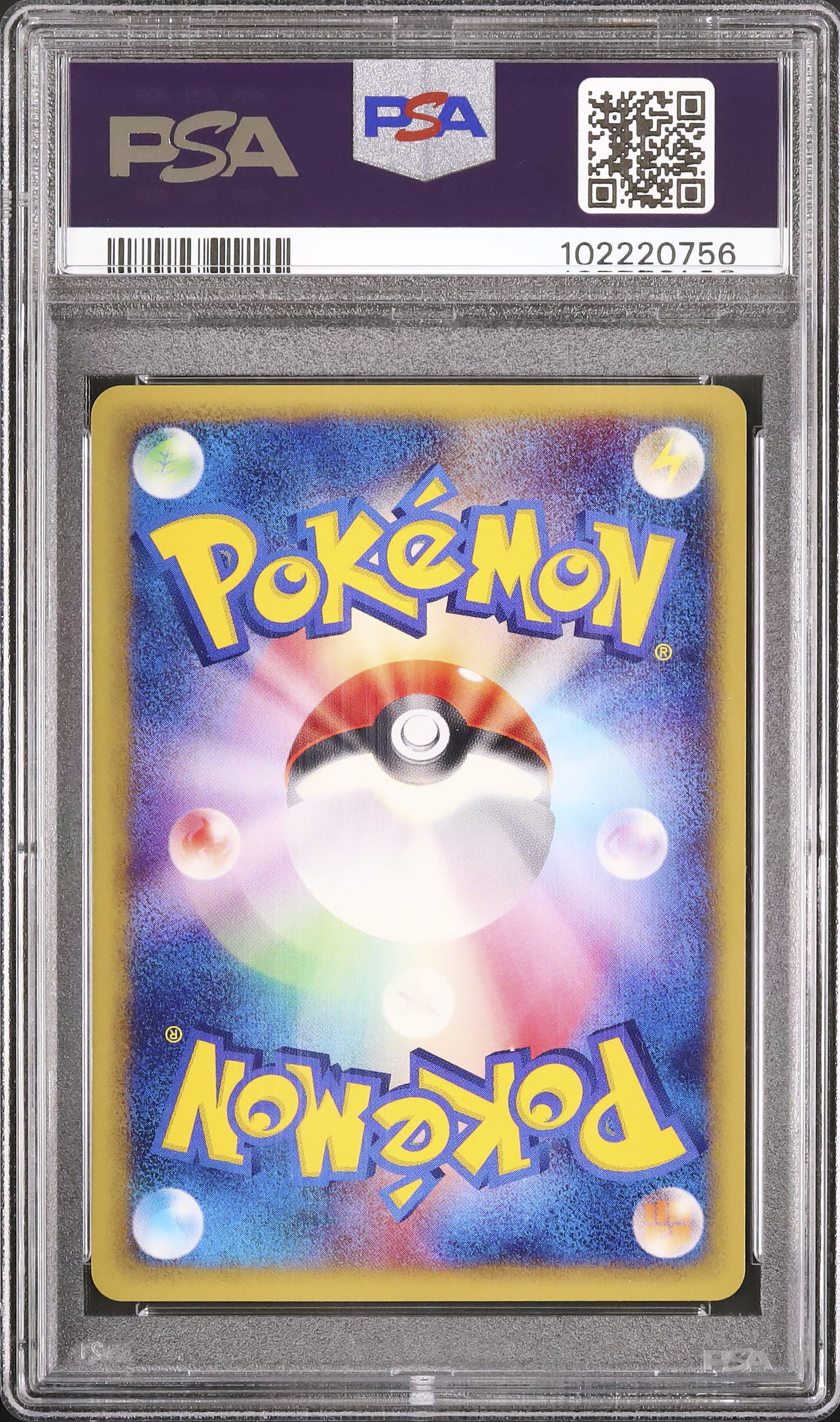 2001 ゼニガメ PSA 8 1st エディション - カルドバ