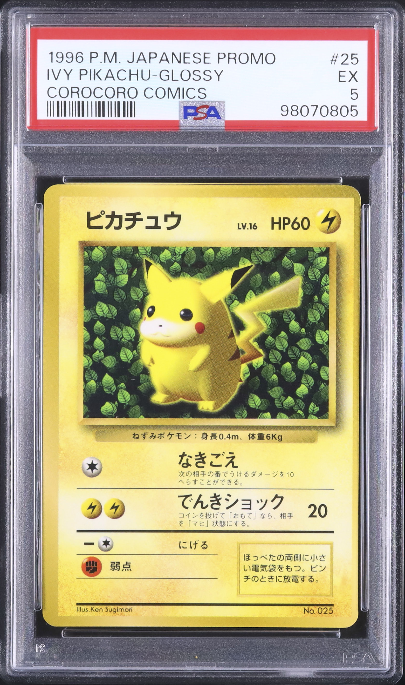 1996 ピカチュウ PSA 5 光沢 - カルドバ