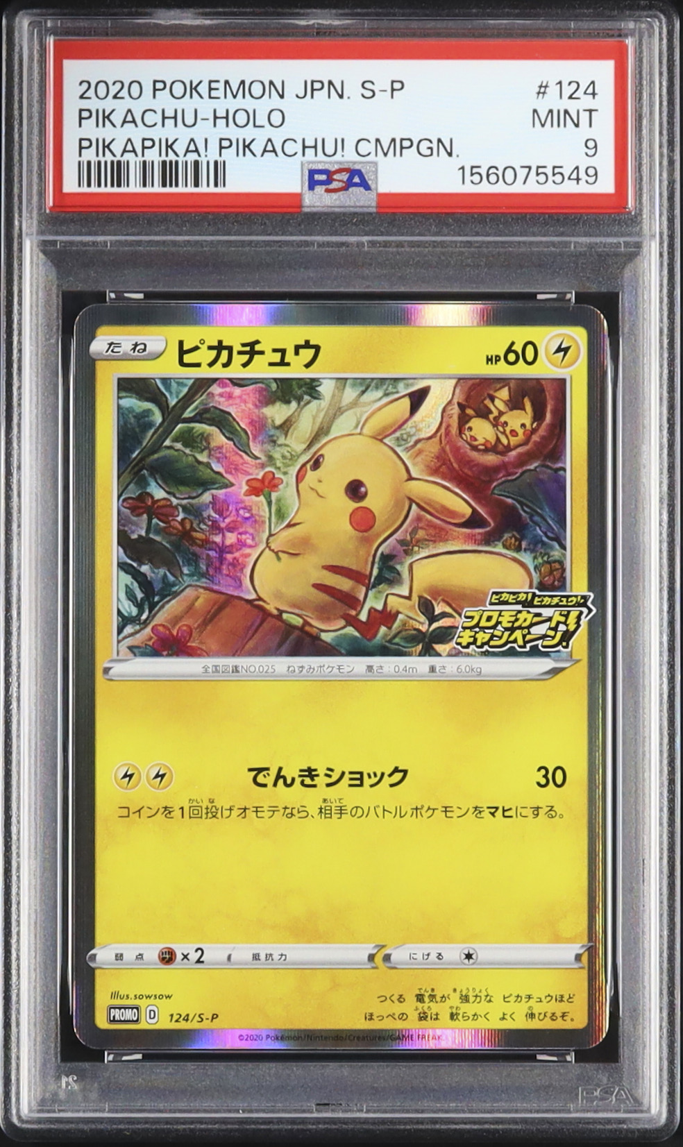 2020 ピカチュウ PSA 9 ホロ - カルドバ