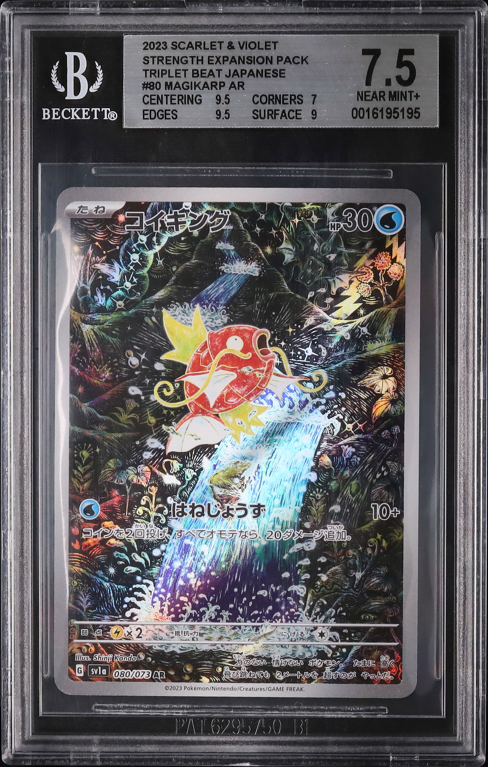 コイキングAR BGS 9.5