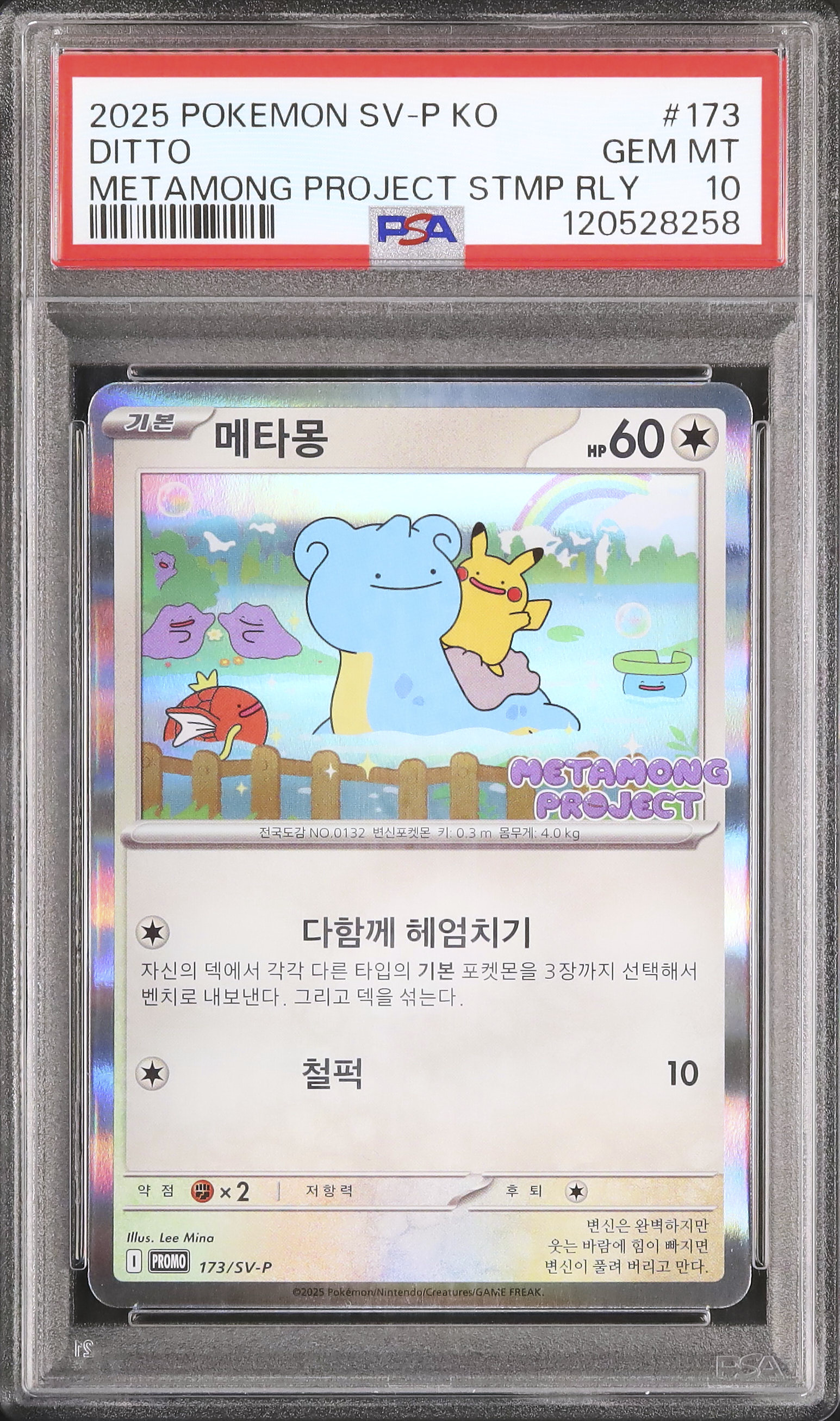 2025 メタモン PSA 10 - カルドバ