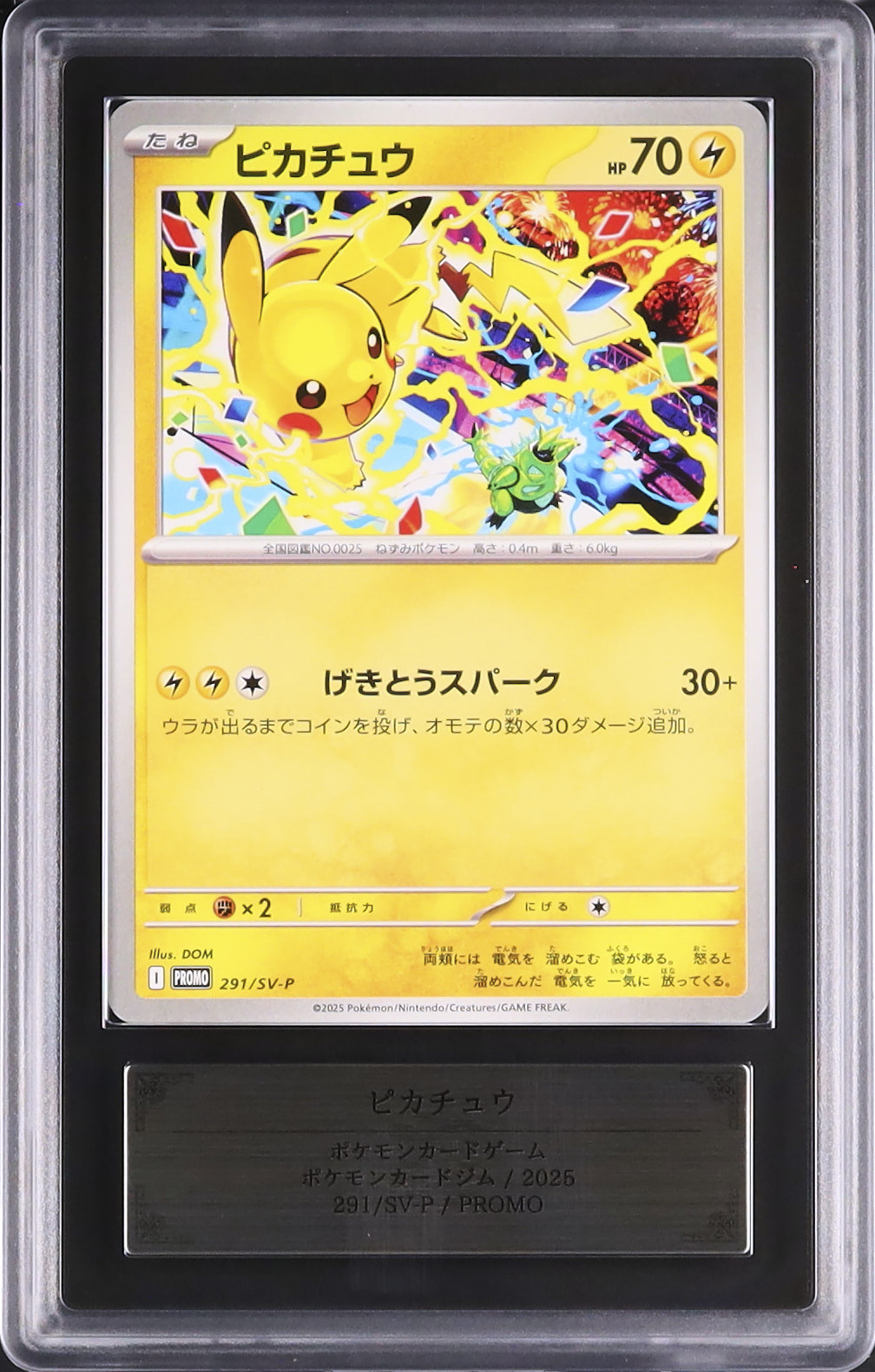 2025 ピカチュウ ARS 10 - カルドバ