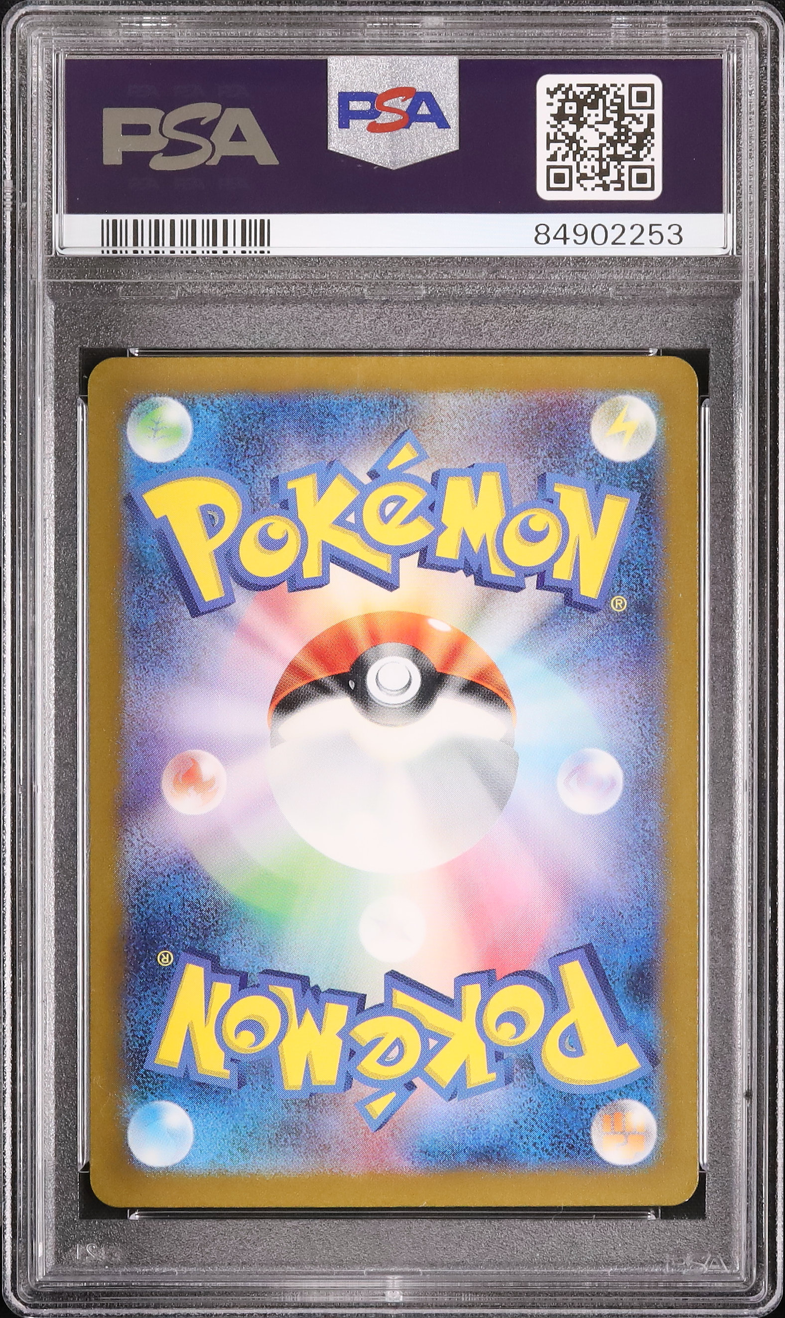 2023 ゼニガメ PSA 9 - カルドバ