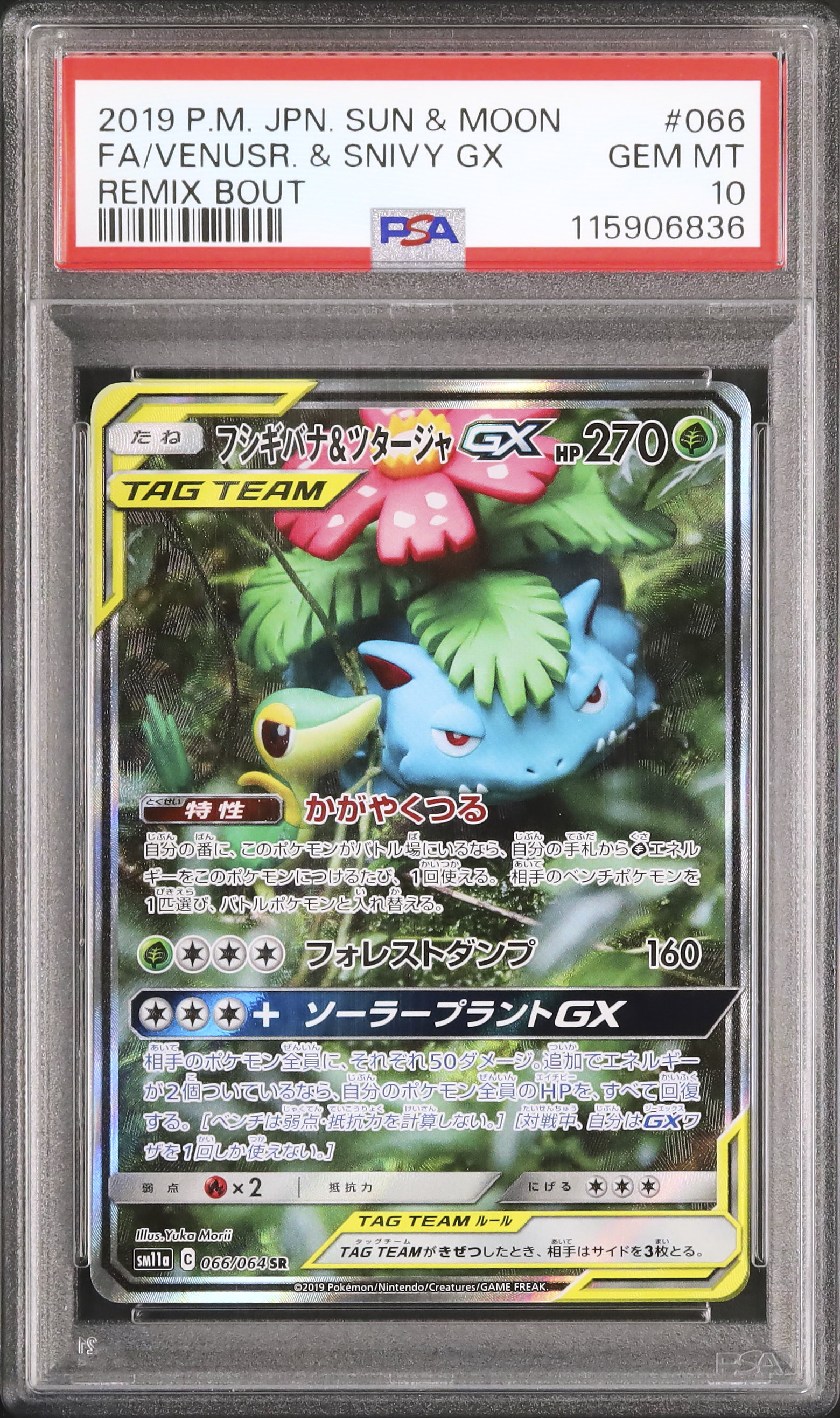 シャワーズV SA psa10 PSA 10 Pokémon TCG CCG S-Chinese S&M Mewtwo & Mew-GX csm2bc