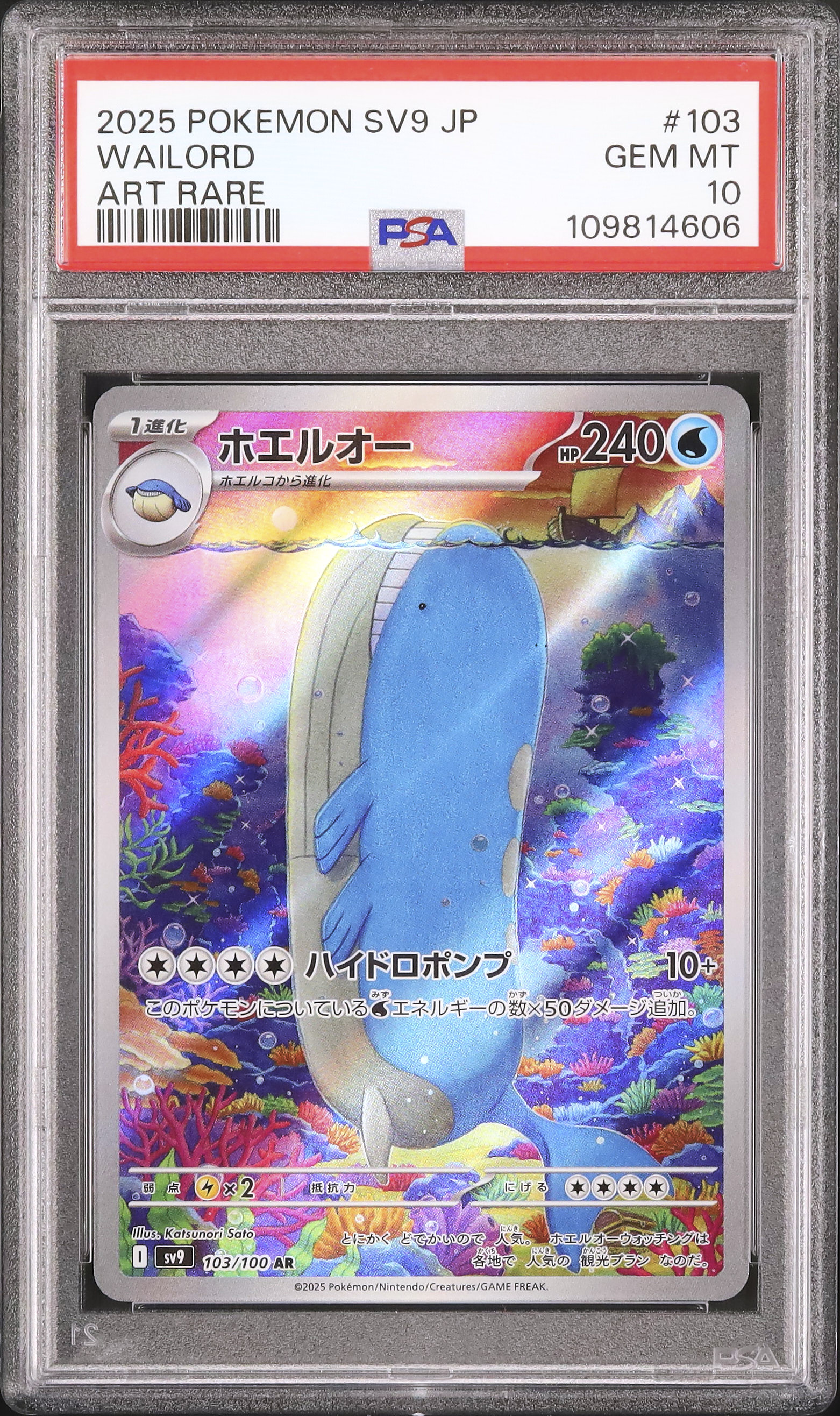 2025 Wailord PSA 10 - Cardova Japan
