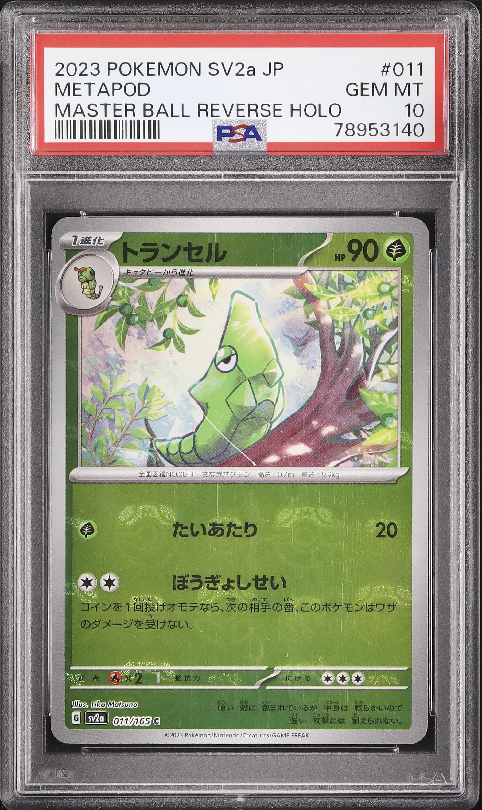 151 マスボ　トランセル　psa10 2023 トランセル PSA 10 マスターボール ミラー - カルドバ