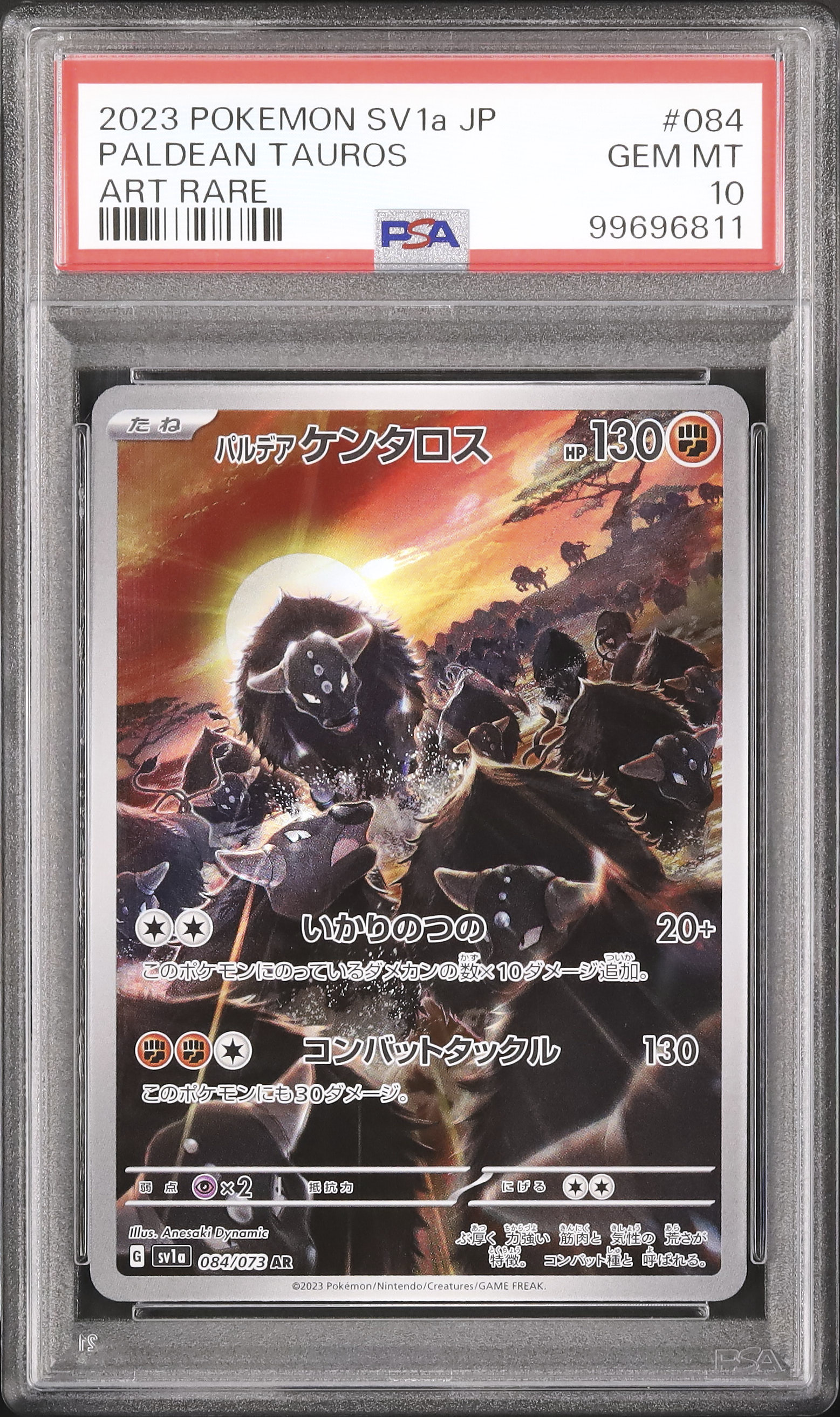 2023 パルデアケンタロス PSA 10 - カルドバ