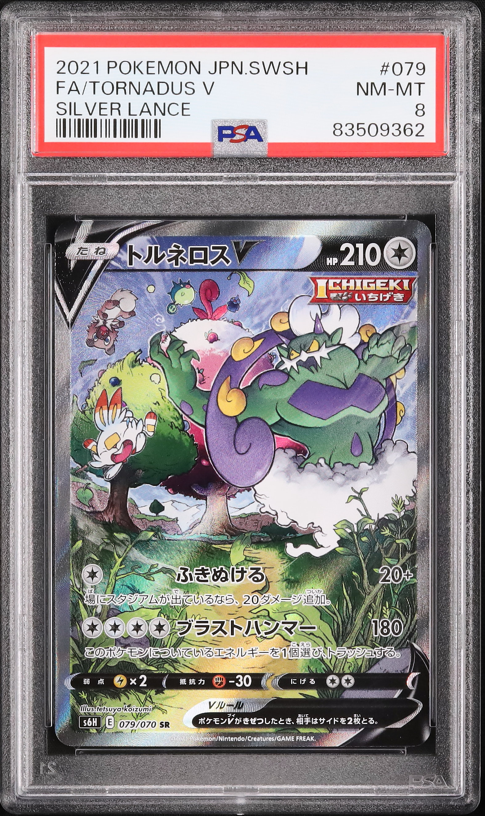 2021 Tornadus V PSA 8 SA - カルドバ
