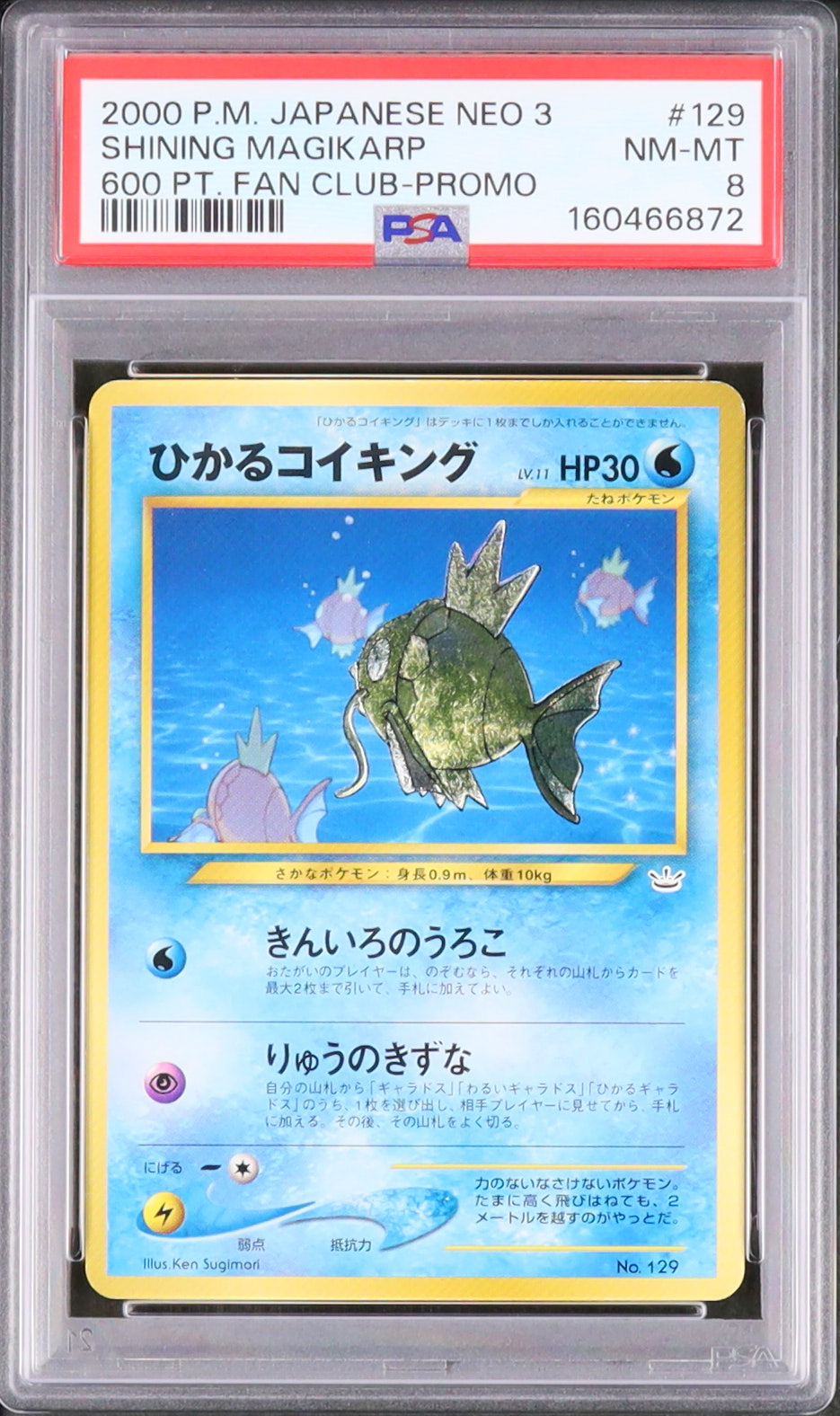 2000 ひかるコイキング PSA 8 ホロ 色違い - カルドバ
