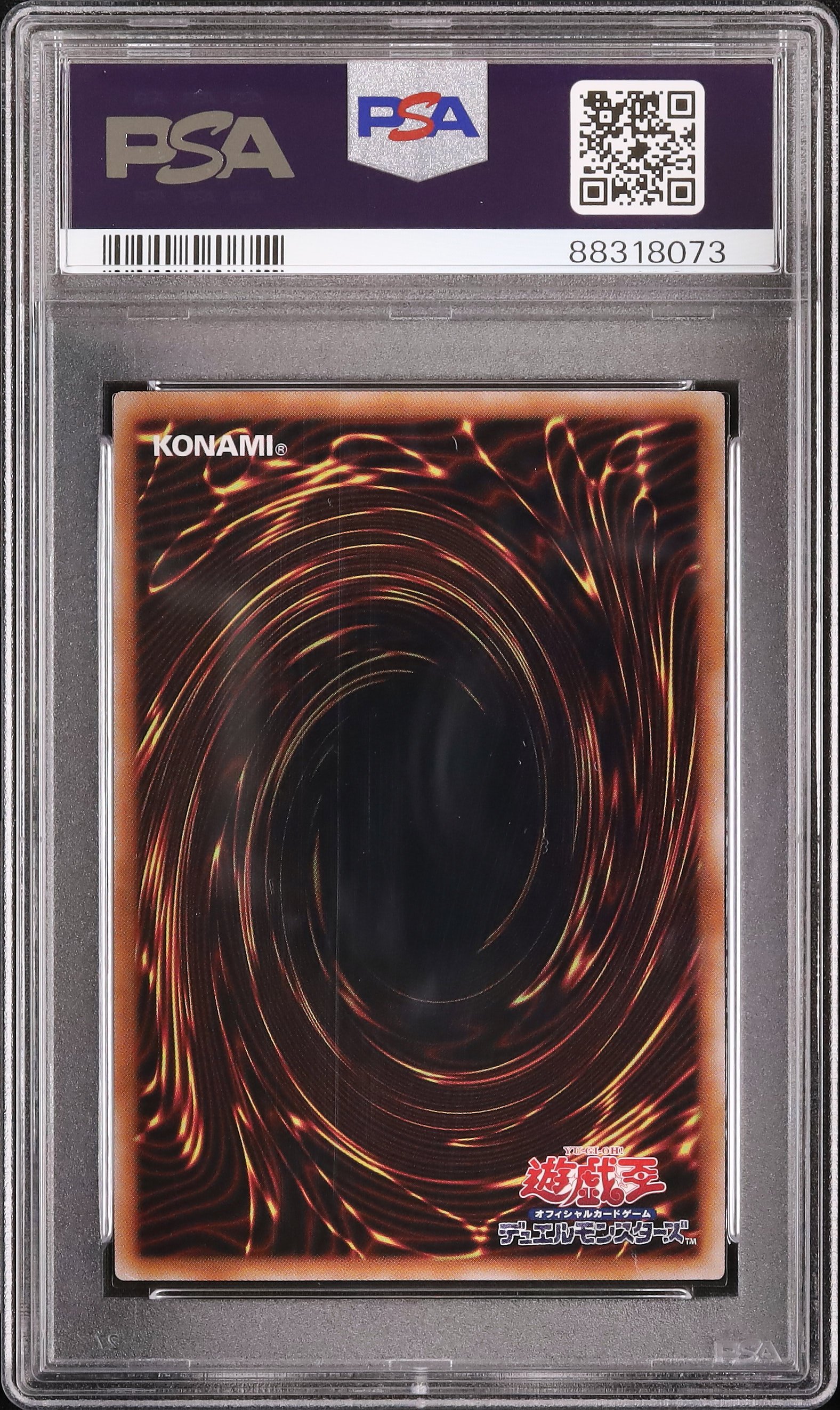 2024 青眼の白龍 PSA 10 - カルドバ