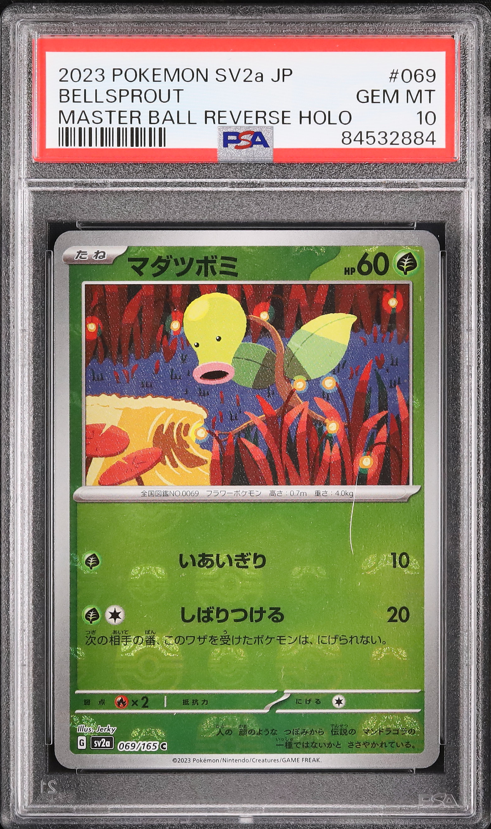 2023 マダツボミ PSA 10 マスターボール - カルドバ