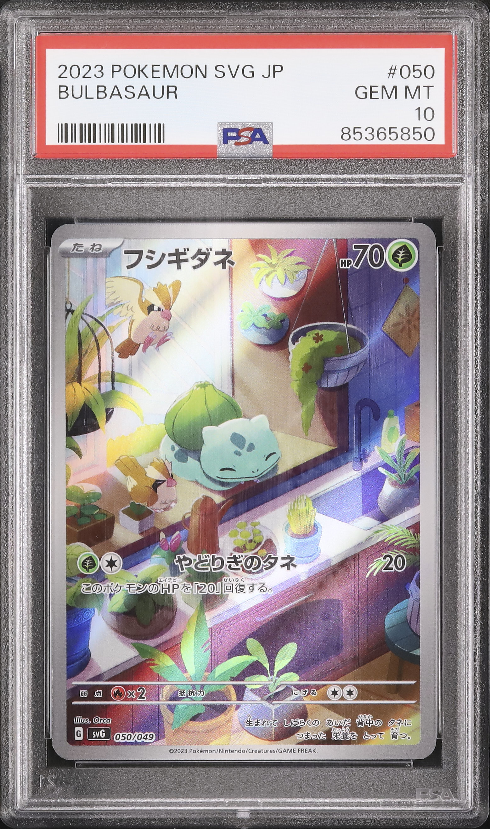 2023 Bulbasaur PSA 10 AR