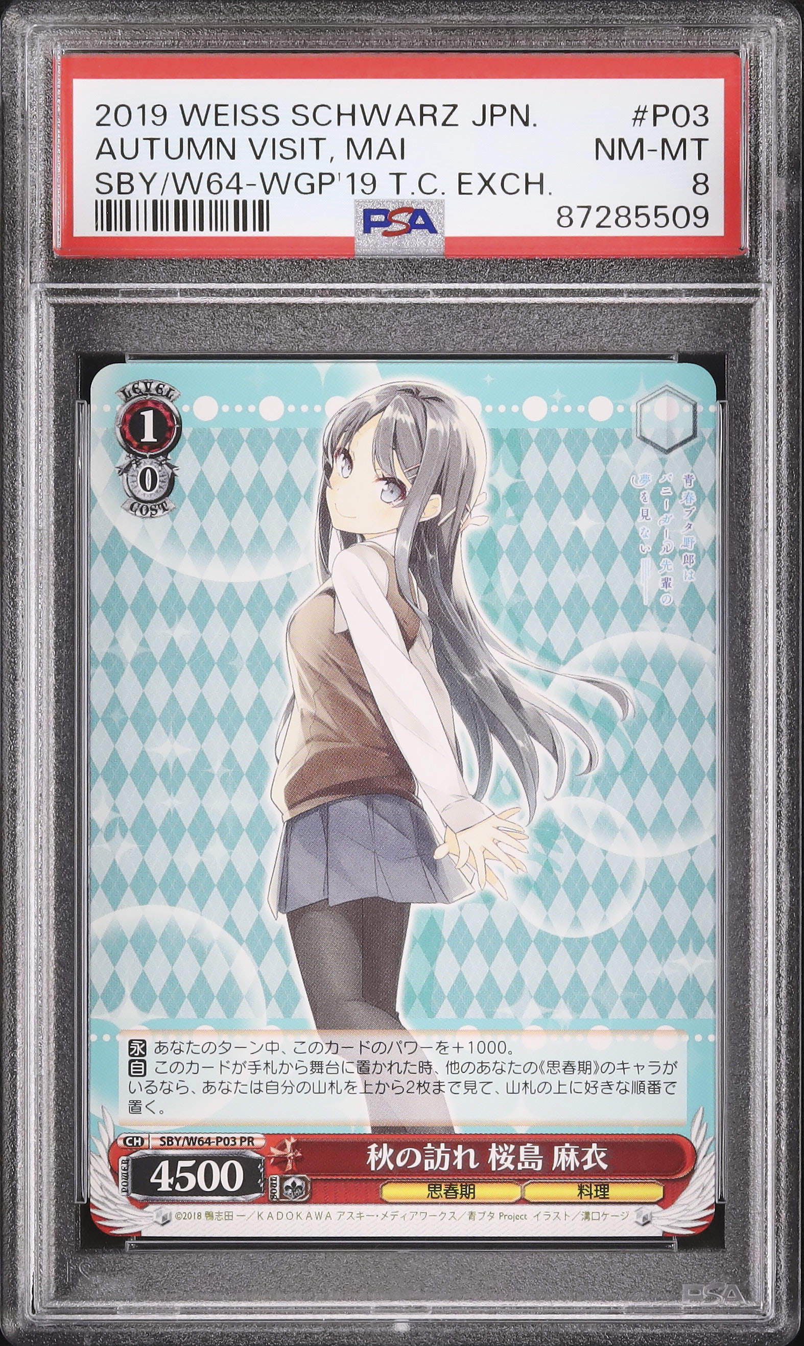 2019 秋の訪れ 桜島 麻衣 PSA 8 - カルドバ
