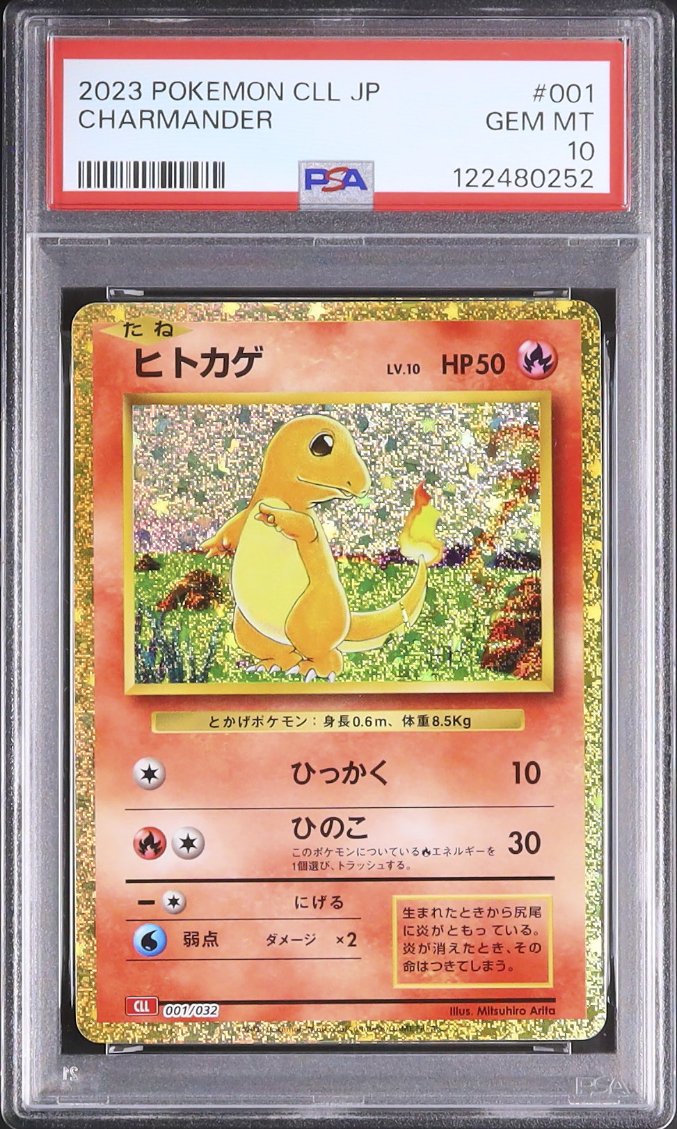 2023 ヒトカゲ PSA 10 - カルドバ