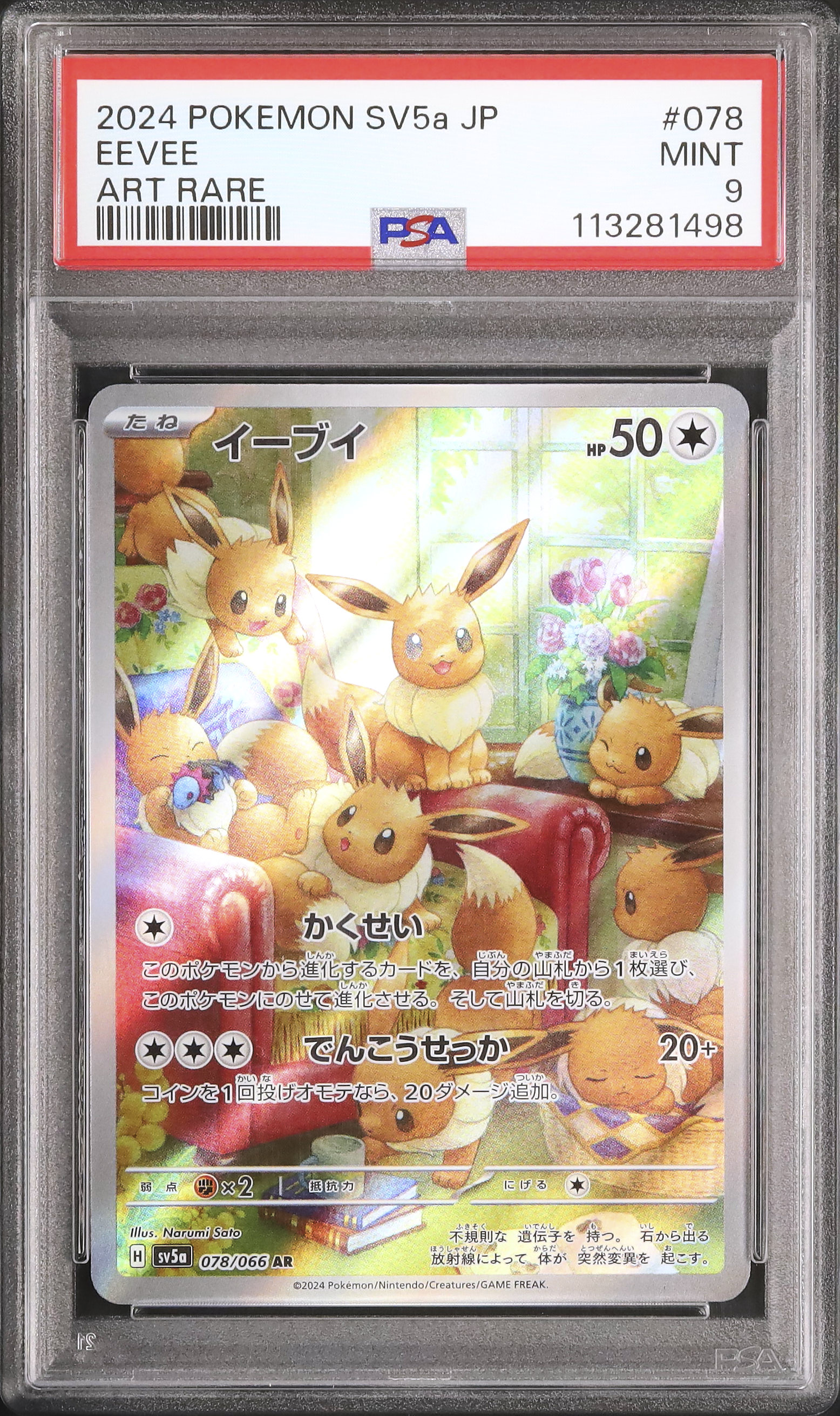 【PSA9】2023 ポケモンカード イーブイ #062 psa9 82b436fc1f733f3398a7fea1b38142
